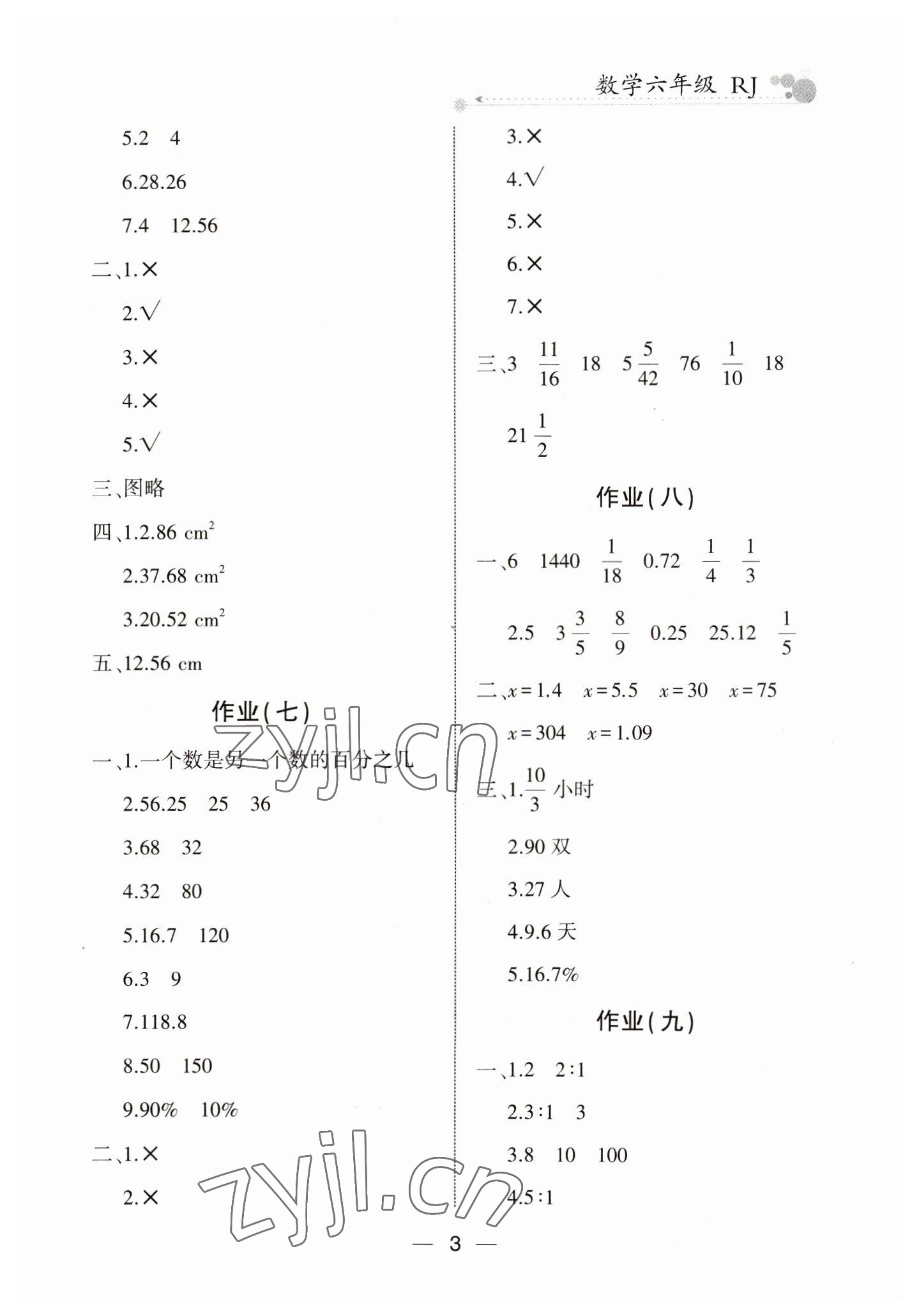 2023年全優(yōu)假期派六年級數(shù)學(xué)人教版 第3頁