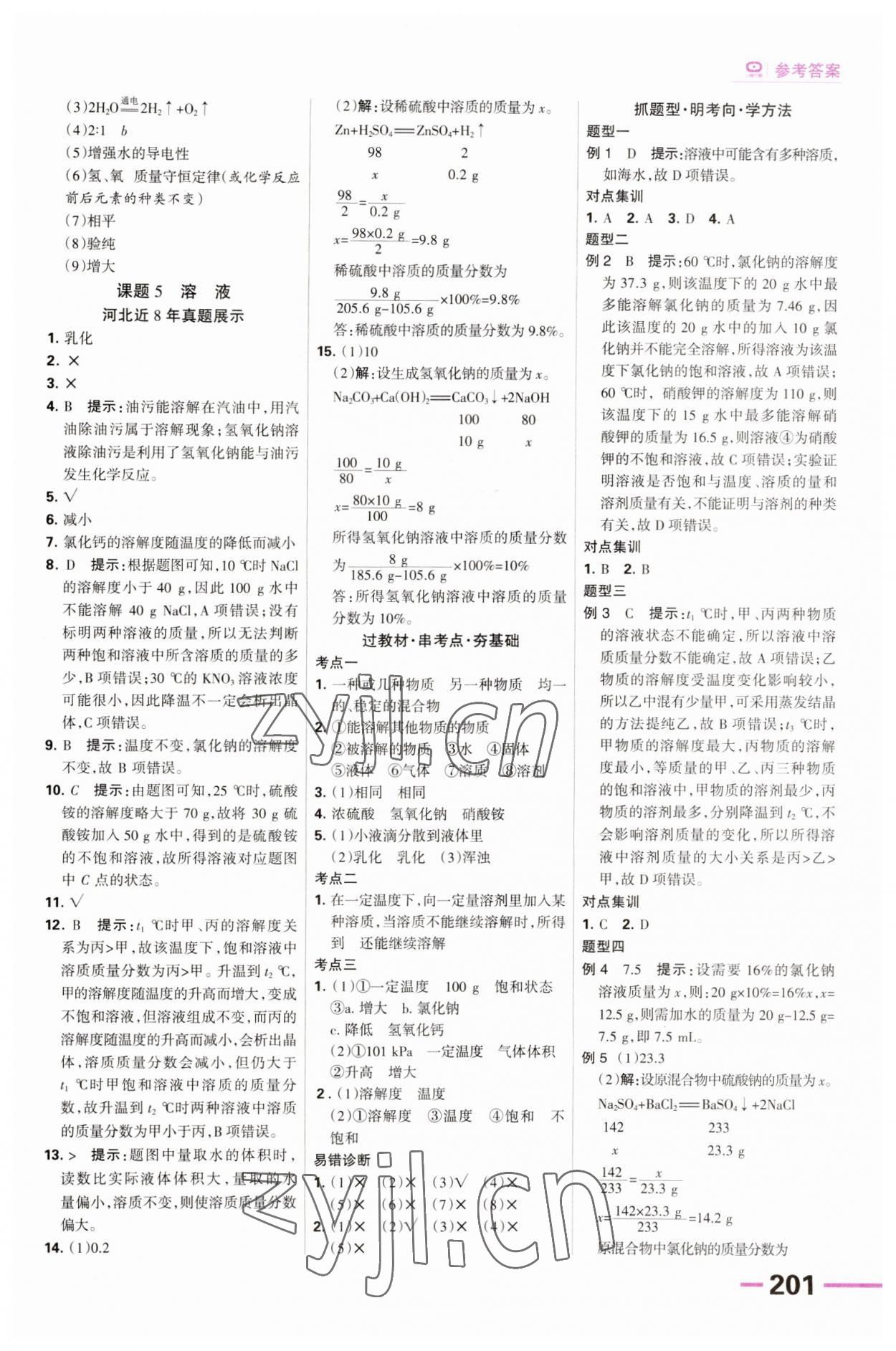 2023年全優(yōu)中考系統(tǒng)總復習化學河北專用 第5頁