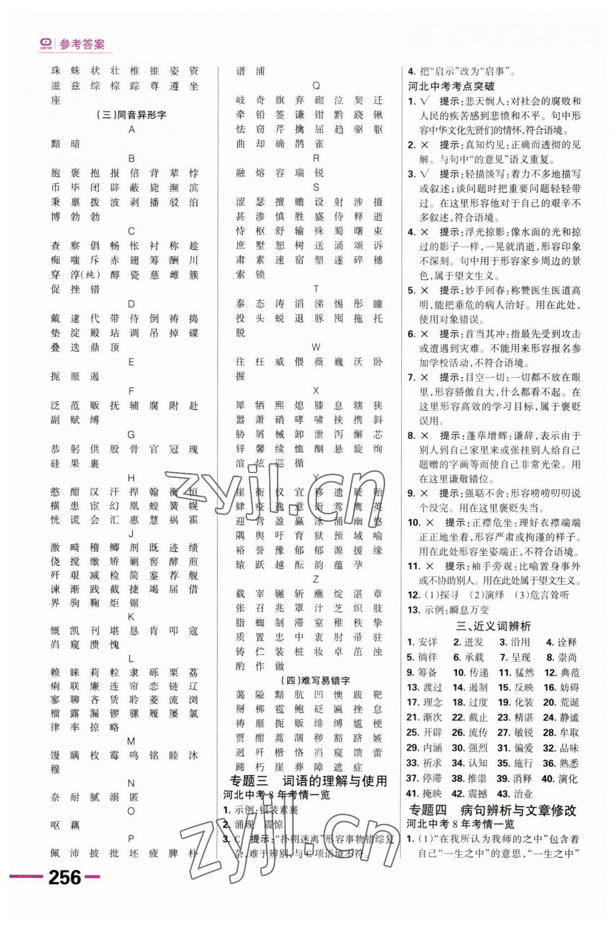 2023年全優(yōu)中考系統(tǒng)總復(fù)習(xí)語文河北專版 第4頁