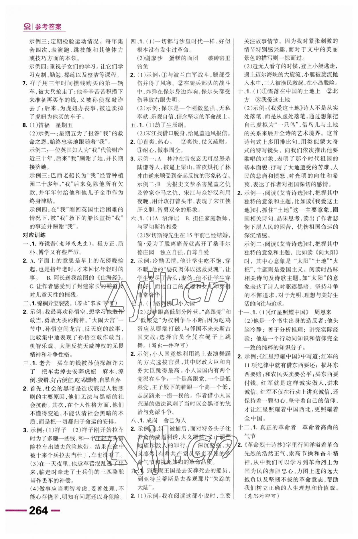 2023年全優(yōu)中考系統(tǒng)總復(fù)習(xí)語文河北專版 第12頁