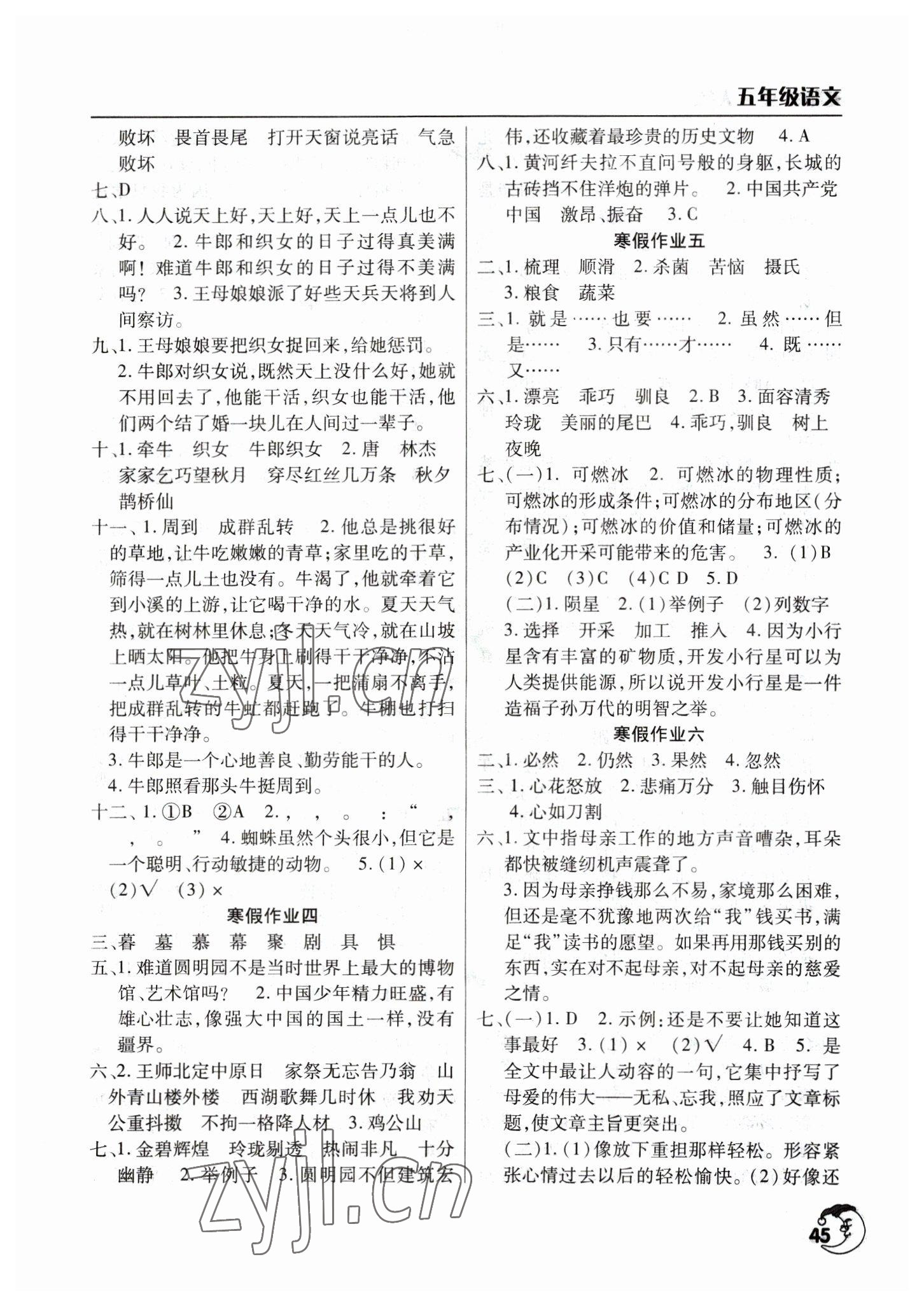 2023年寒假作业天天练文心出版社五年级语文人教版 参考答案第2页