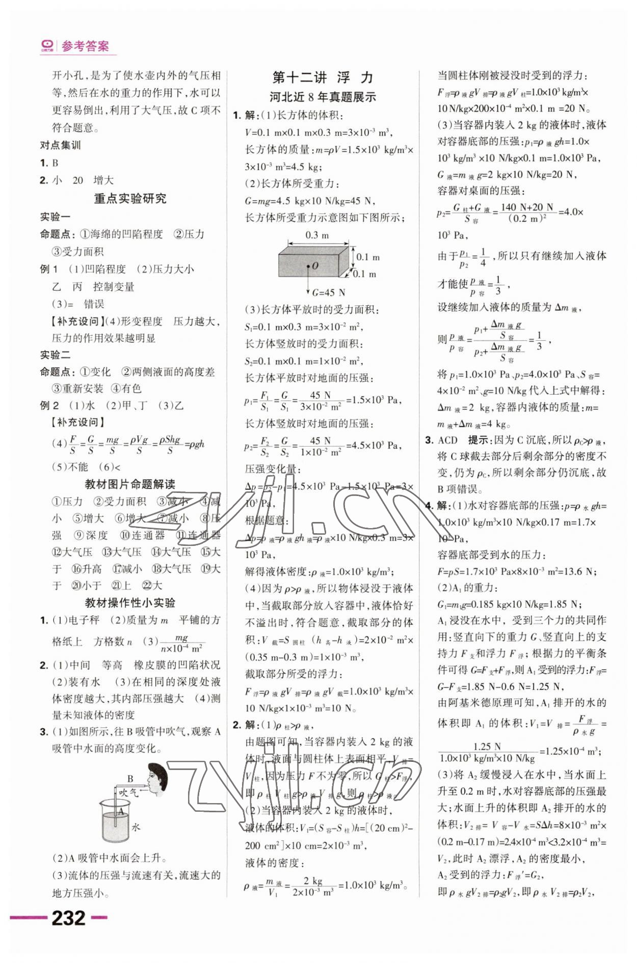 2023年全优中考系统总复习物理河北专用 第12页