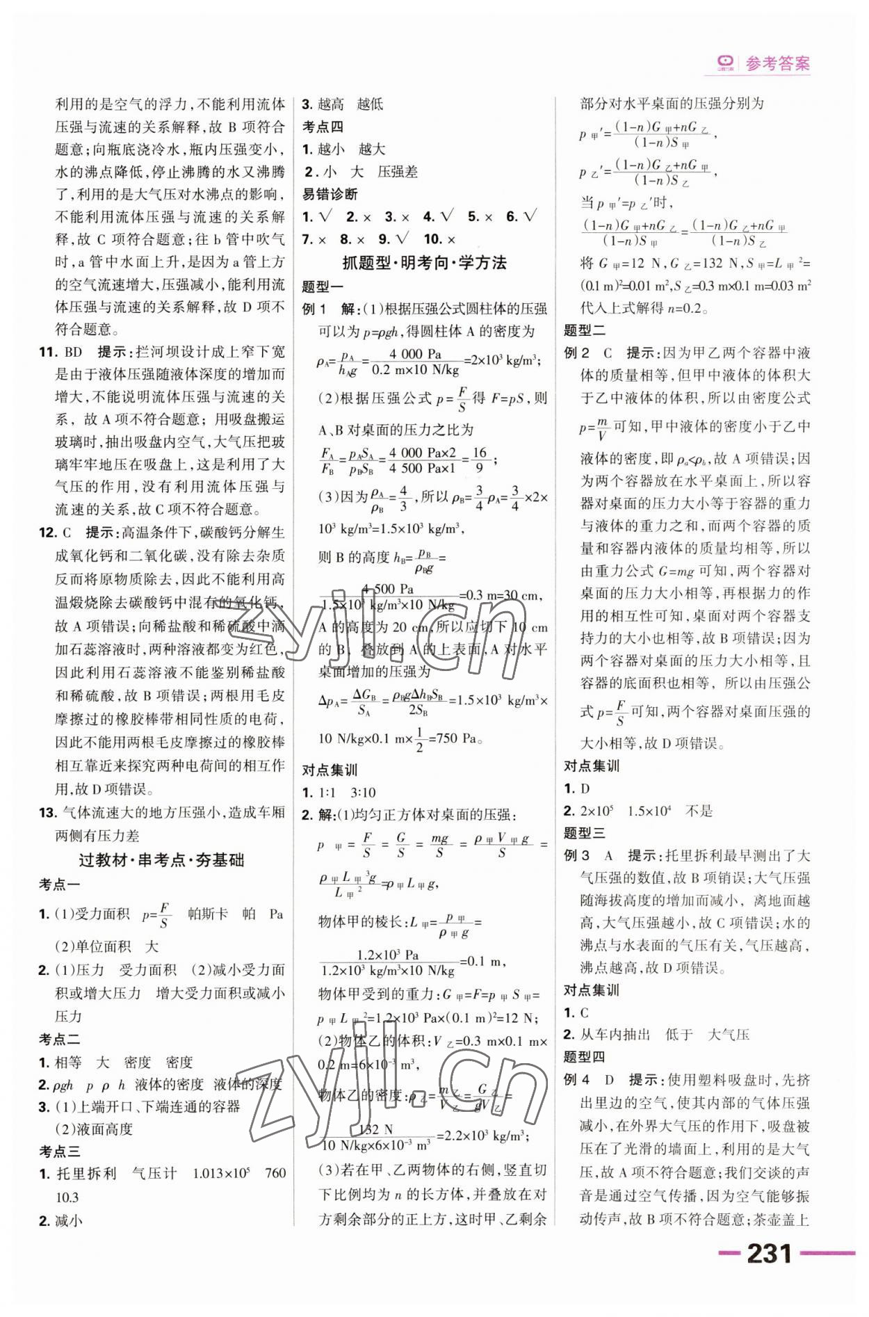 2023年全優(yōu)中考系統(tǒng)總復(fù)習(xí)物理河北專用 第11頁(yè)