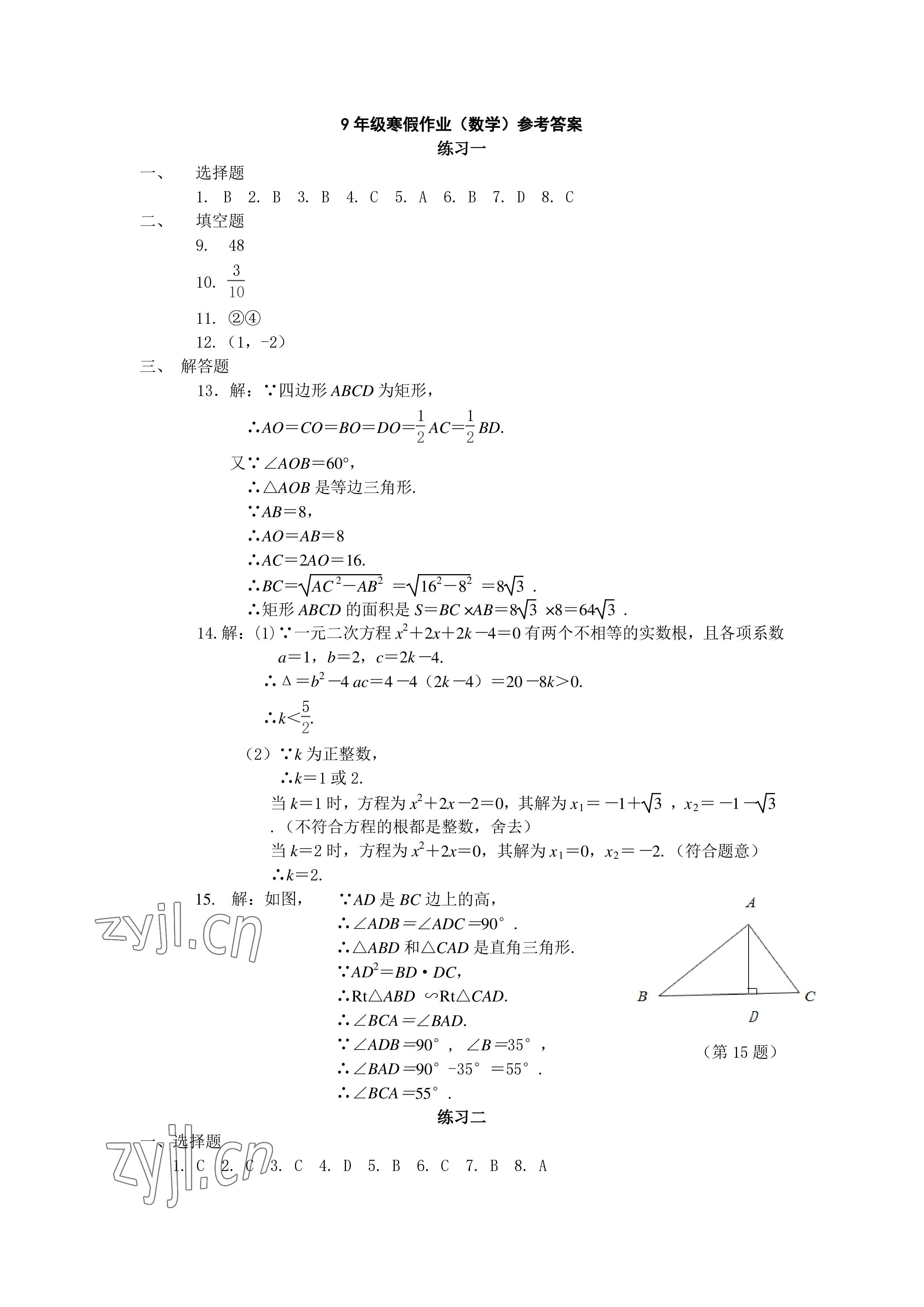 2023年鹏教图书精彩假期寒假篇九年级合订本 参考答案第7页