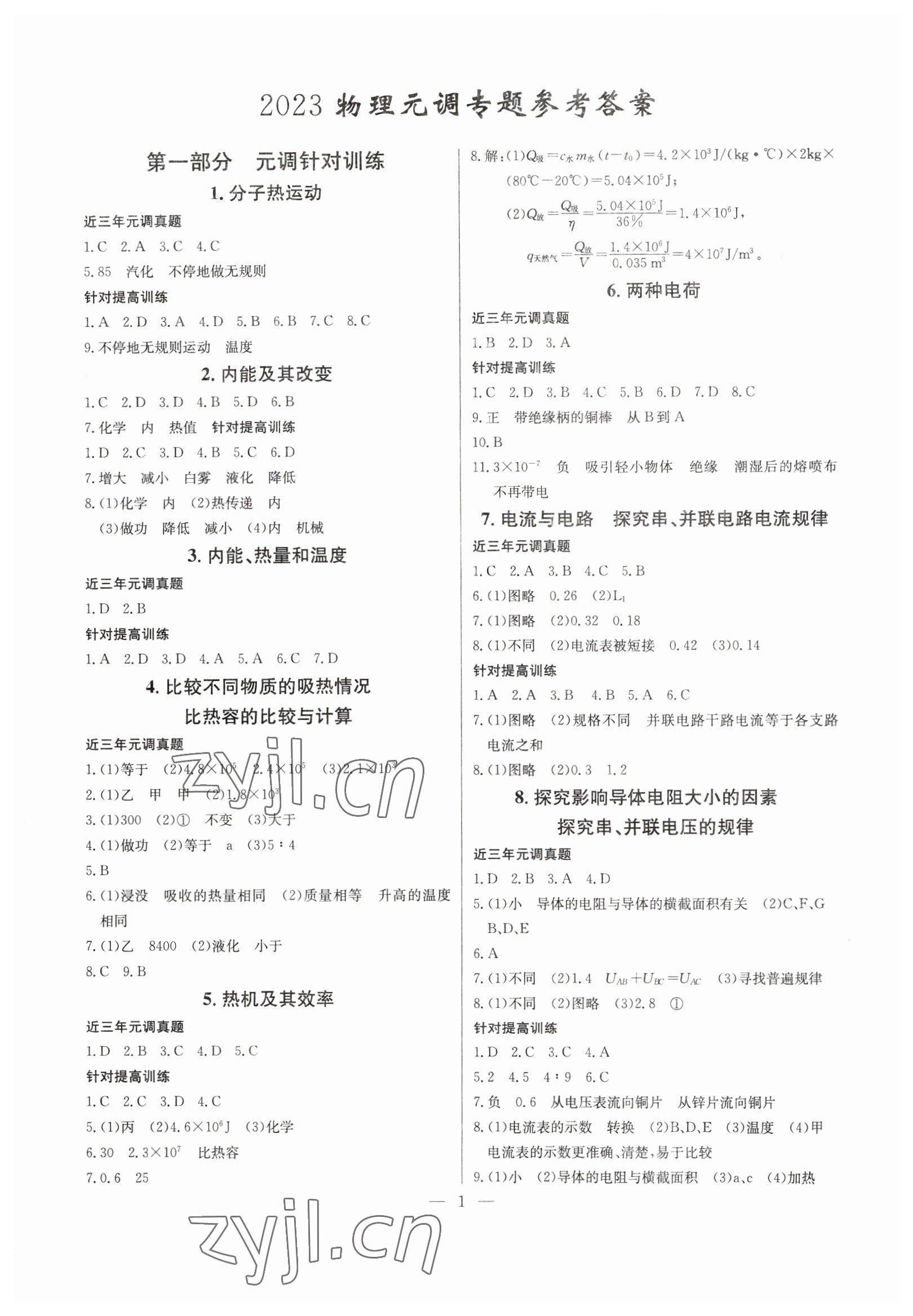 2023年思維新觀察元調(diào)專題復(fù)習(xí)九年級物理人教版 第1頁