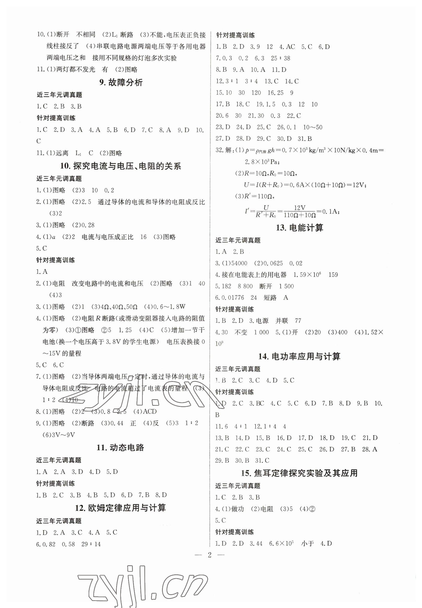 2023年思维新观察元调专题复习九年级物理人教版 第2页