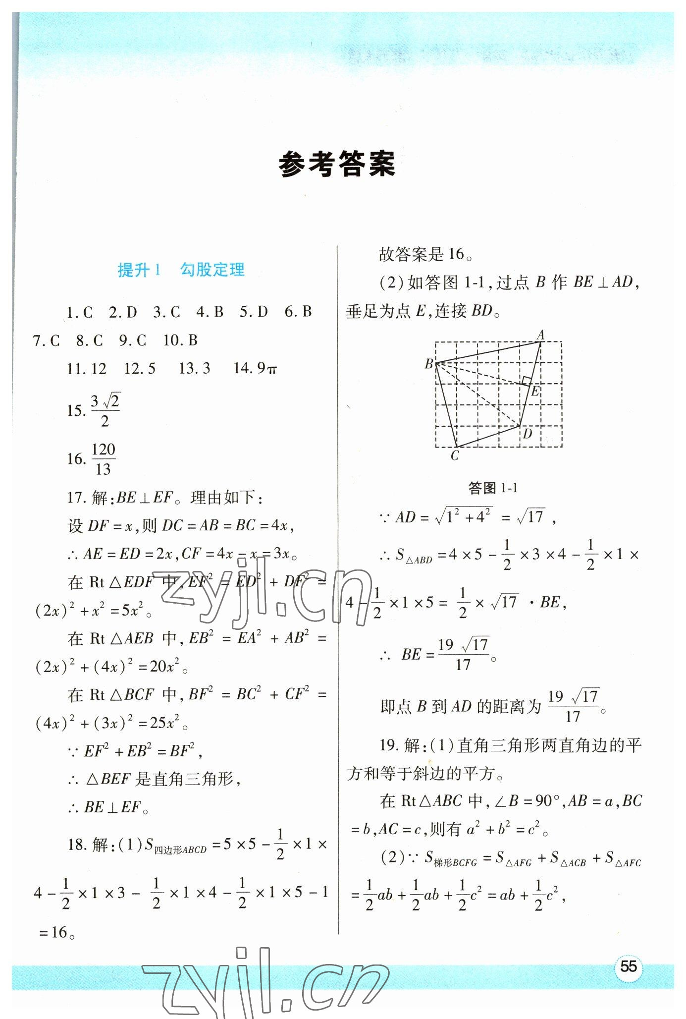 2023年寒假作业与生活陕西师范大学出版总社八年级数学北师大版 第1页