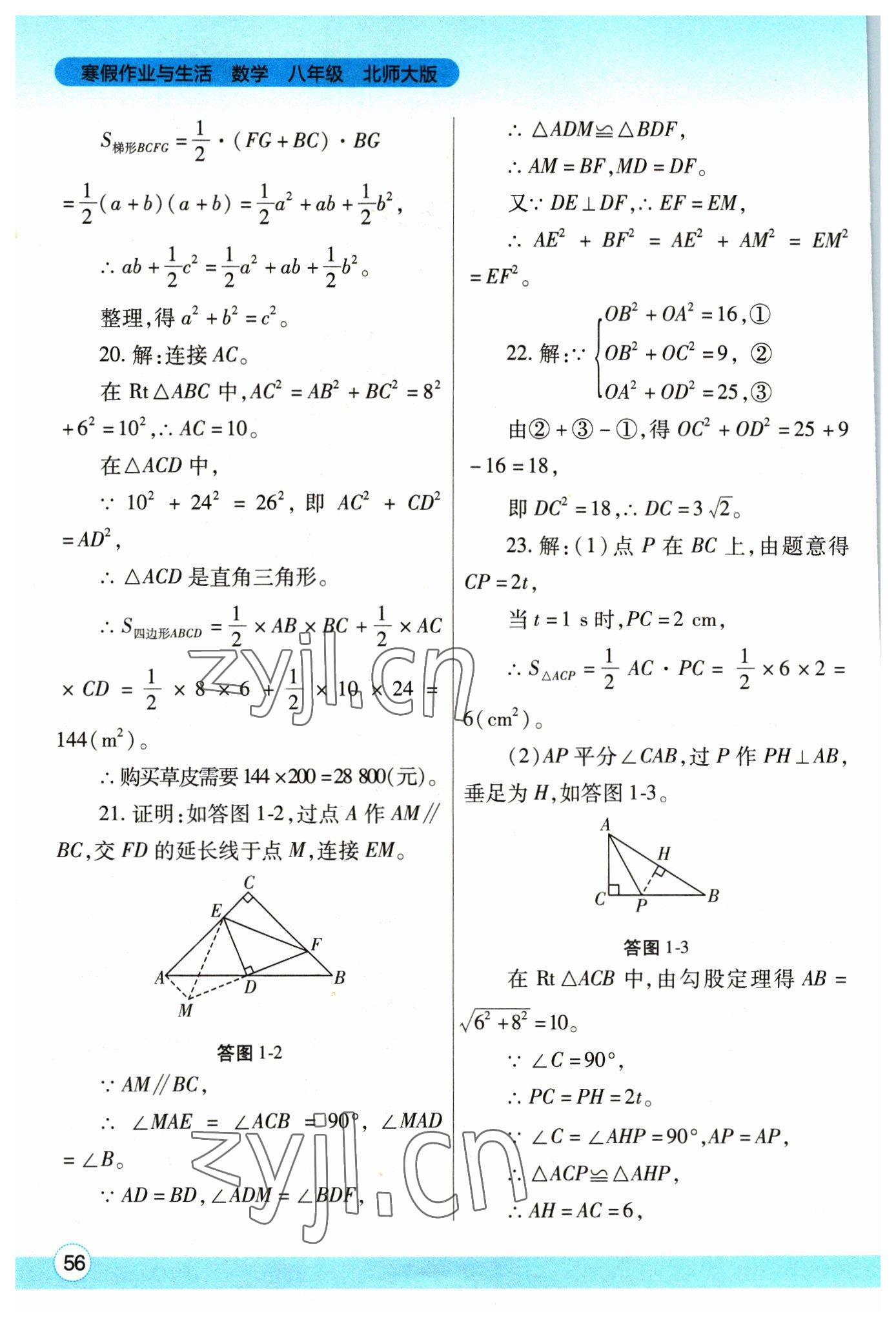 2023年寒假作業(yè)與生活陜西師范大學(xué)出版總社八年級數(shù)學(xué)北師大版 第2頁