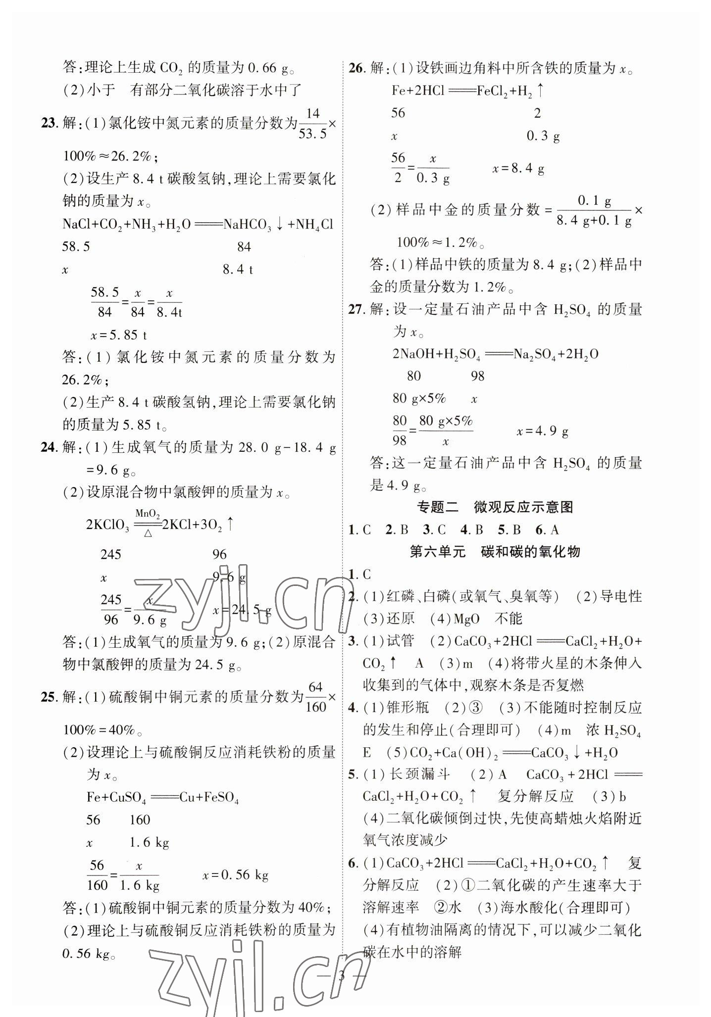 2023年名校密参化学中考安徽专版 第3页