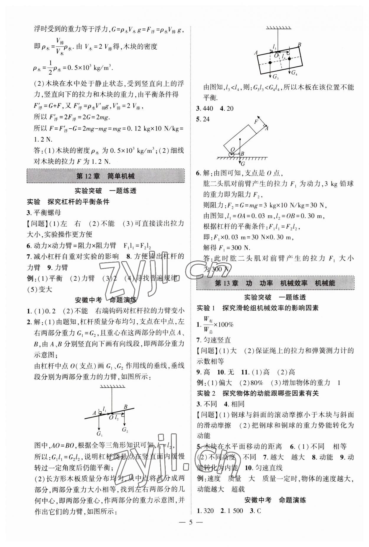 2023年名校密參物理中考安徽專版 第5頁