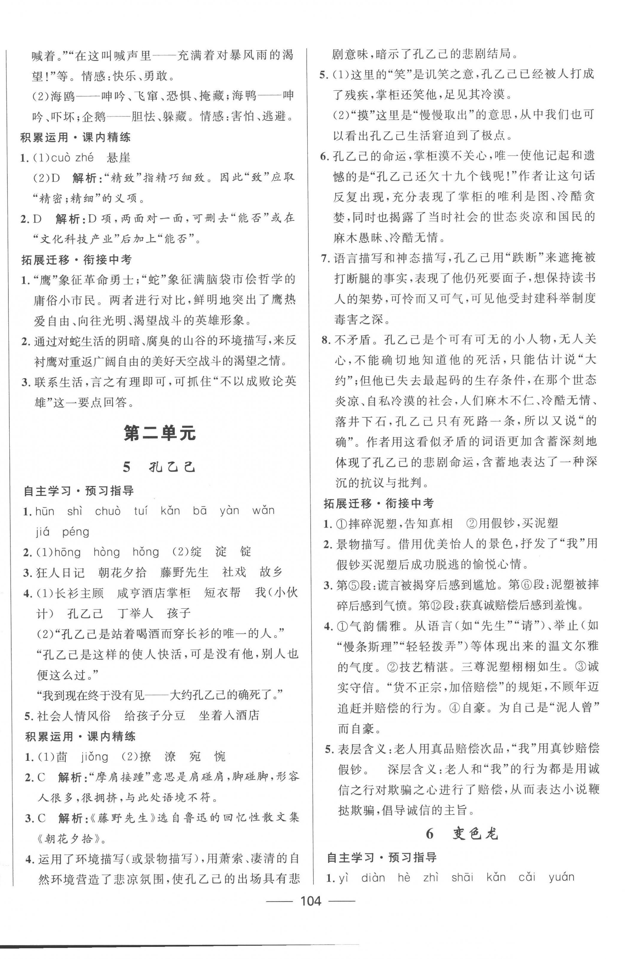 2023年奪冠百分百新導(dǎo)學(xué)課時(shí)練九年級語文下冊人教版 第2頁