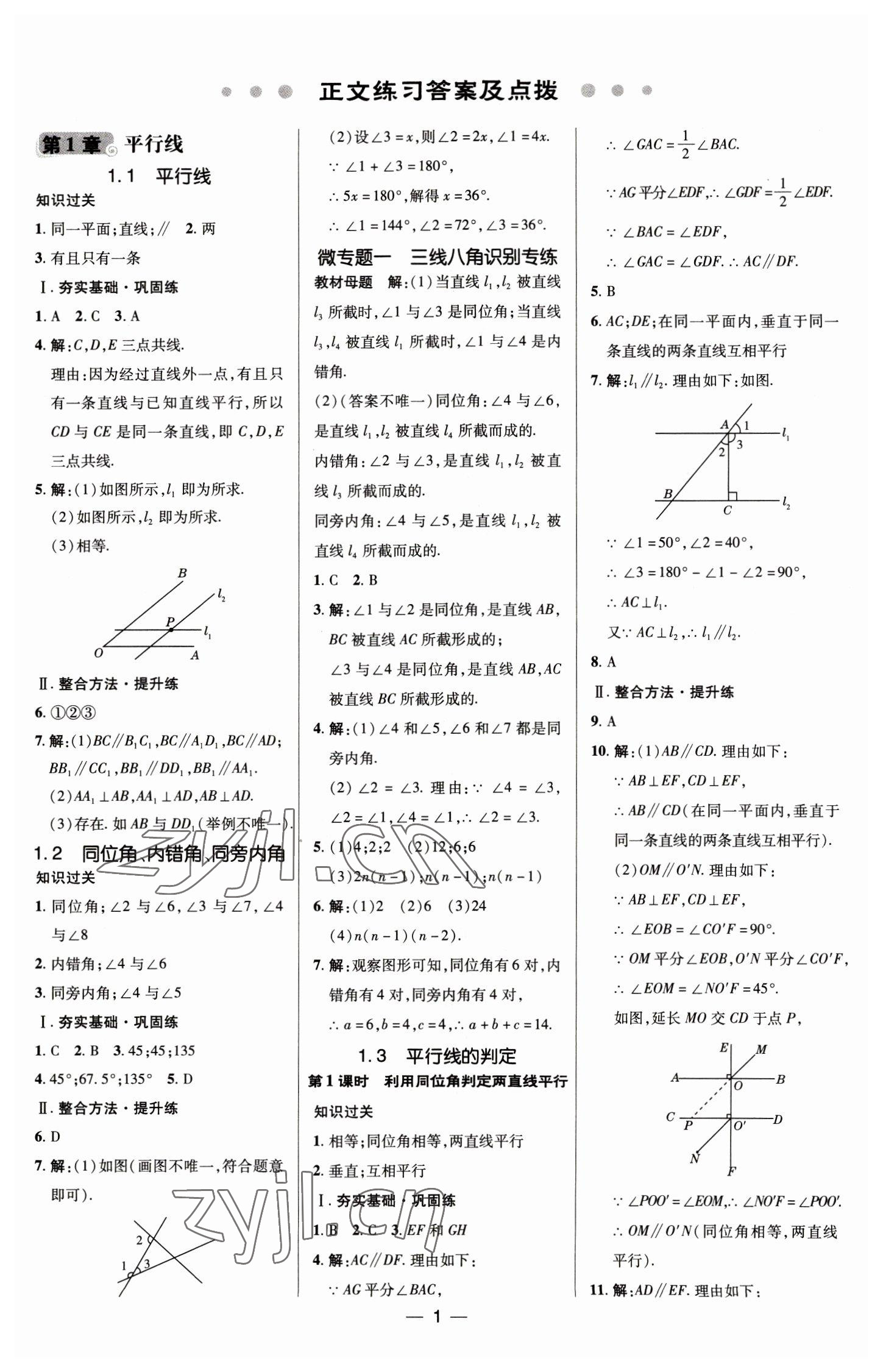 2023年综合应用创新题典中点七年级数学下册浙教版 参考答案第1页