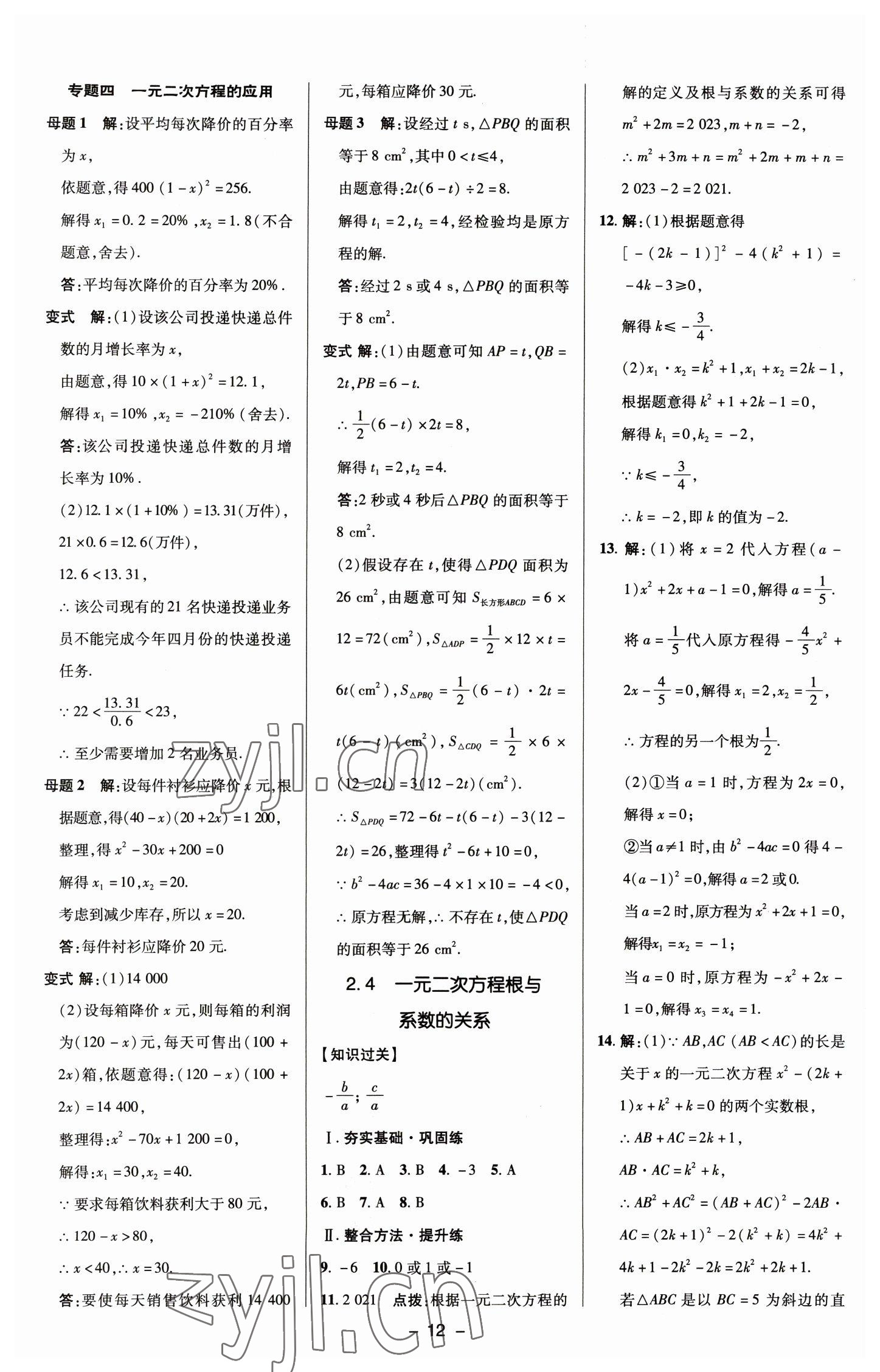 2023年综合应用创新题典中点八年级数学下册浙教版 参考答案第11页