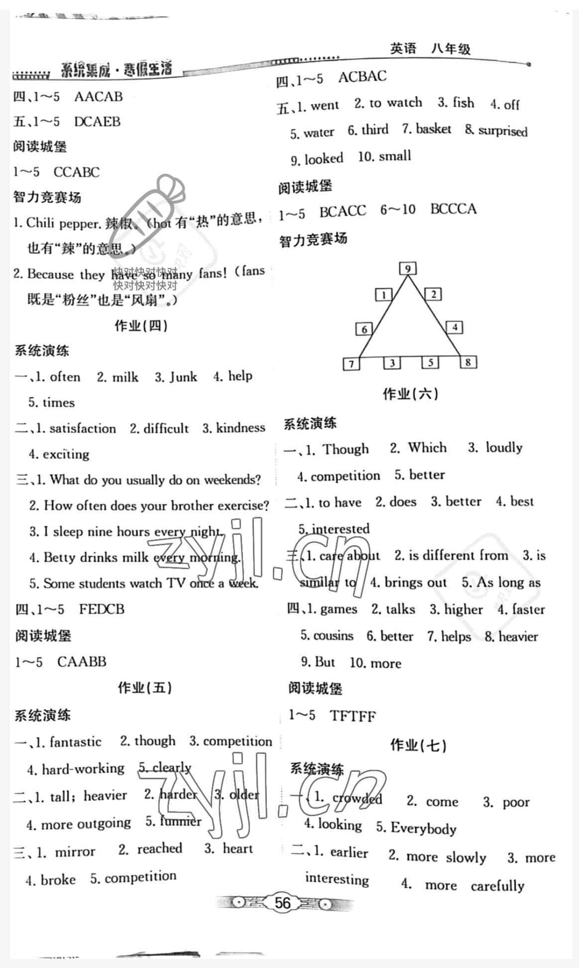 2023年系统集成寒假生活北京师范大学出版社八年级英语 参考答案第2页