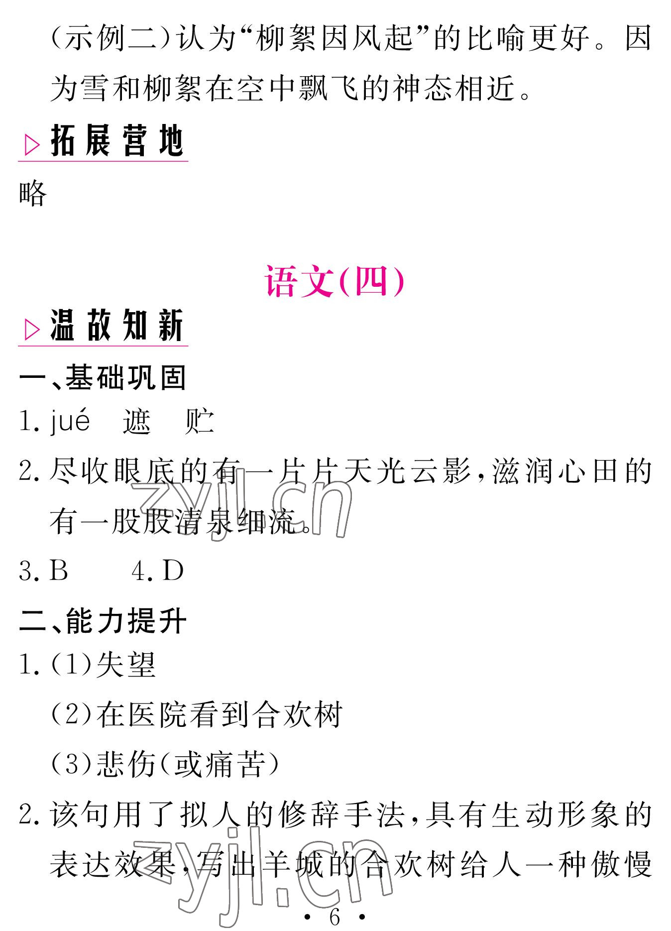 2023年天舟文化精彩寒假七年級(jí)語(yǔ)文人教版團(tuán)結(jié)出版社 參考答案第6頁(yè)