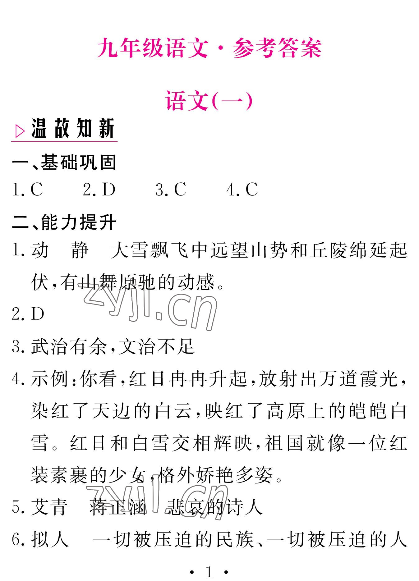 2023年天舟文化精彩寒假九年級(jí)語(yǔ)文團(tuán)結(jié)出版社 參考答案第1頁(yè)