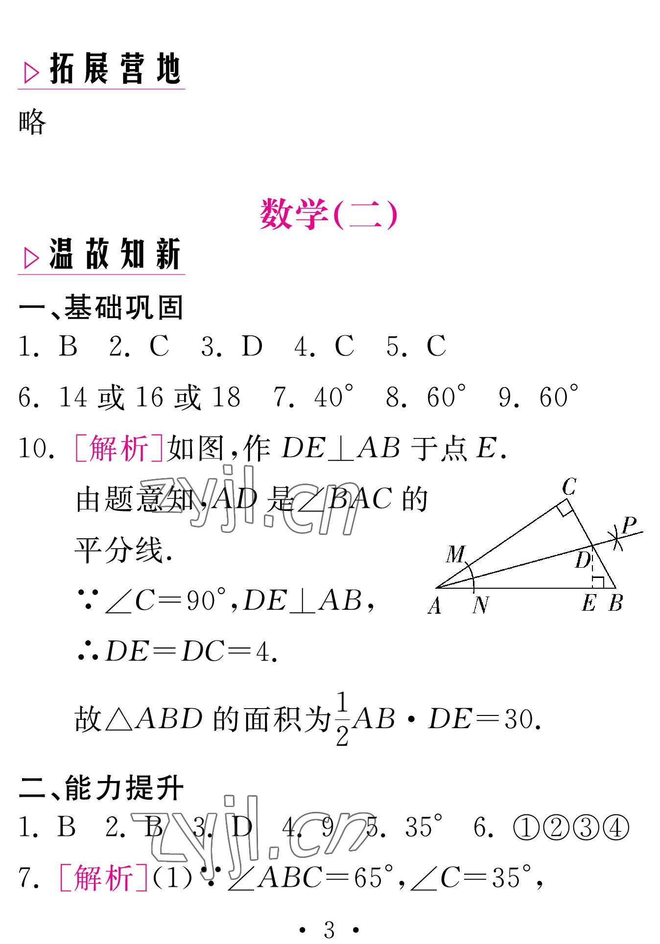 2023年天舟文化精彩寒假團結出版社八年級數(shù)學人教版 參考答案第3頁