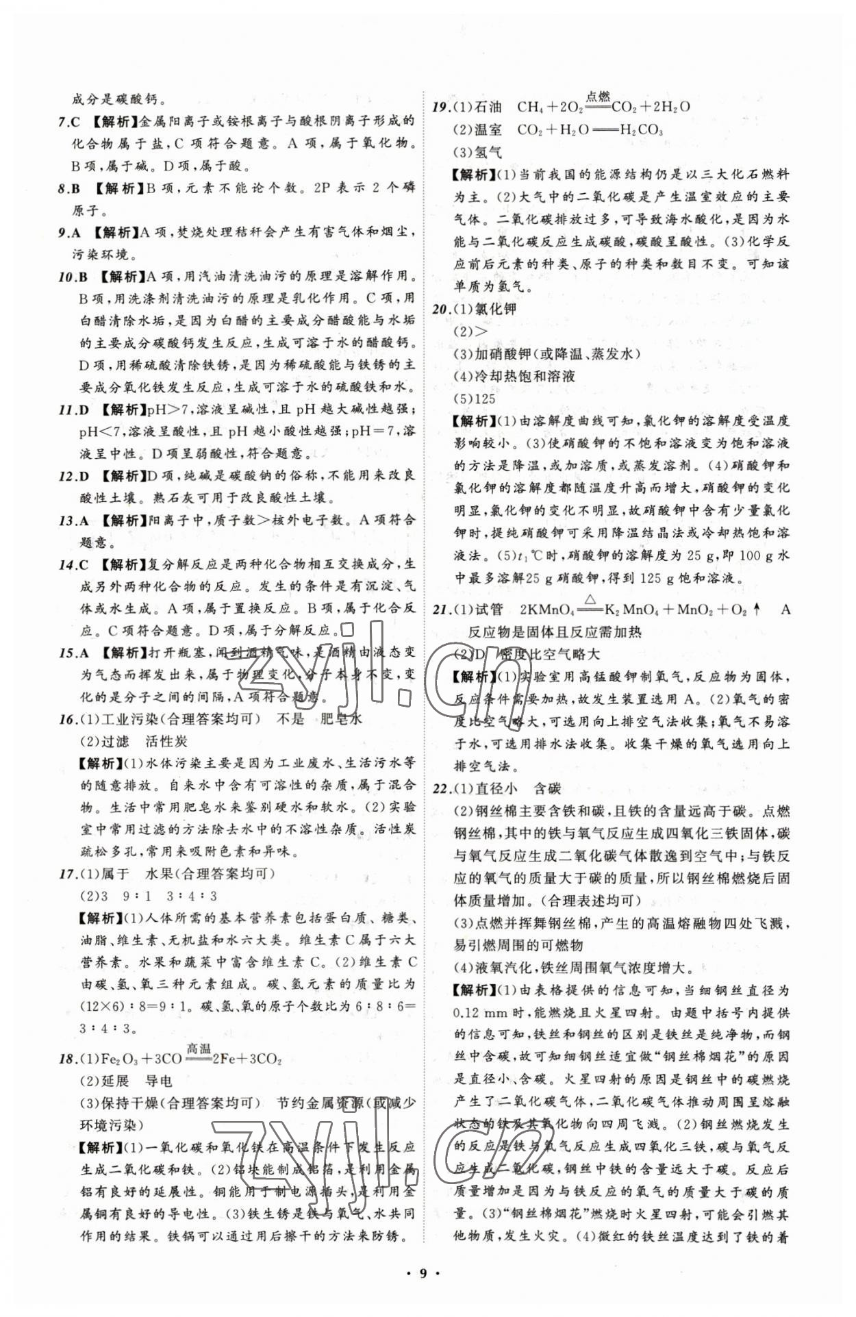 2023年中考必备化学大连专版 参考答案第9页