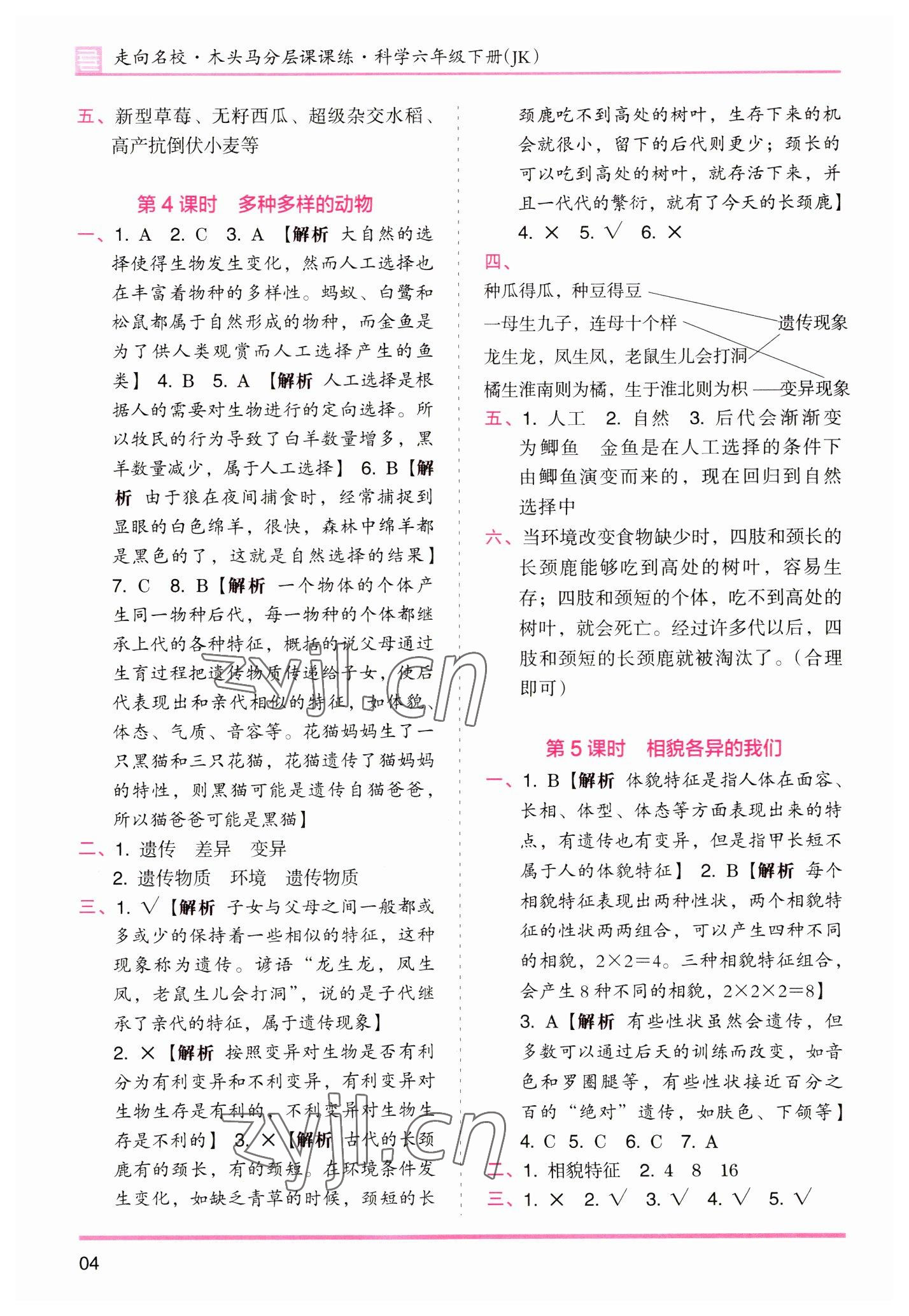 2023年木頭馬分層課課練六年級(jí)科學(xué)下冊(cè)教科版 參考答案第4頁(yè)