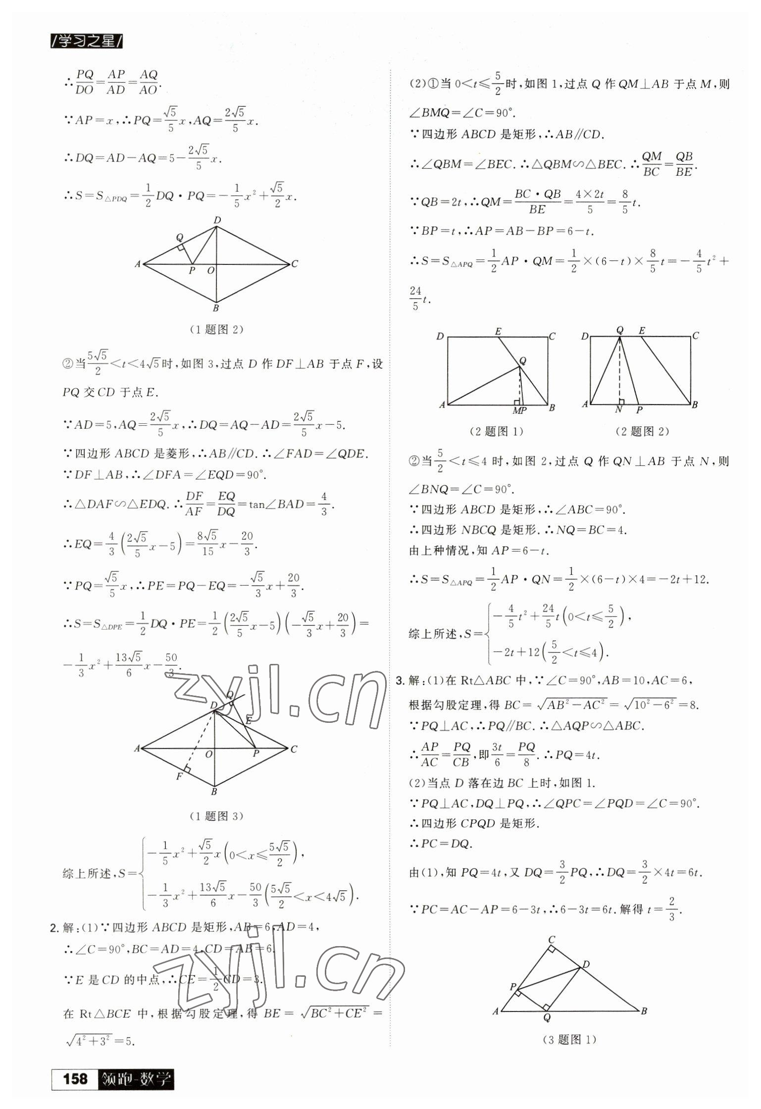 2023年学习之星二轮总复习数学大连专版 参考答案第2页