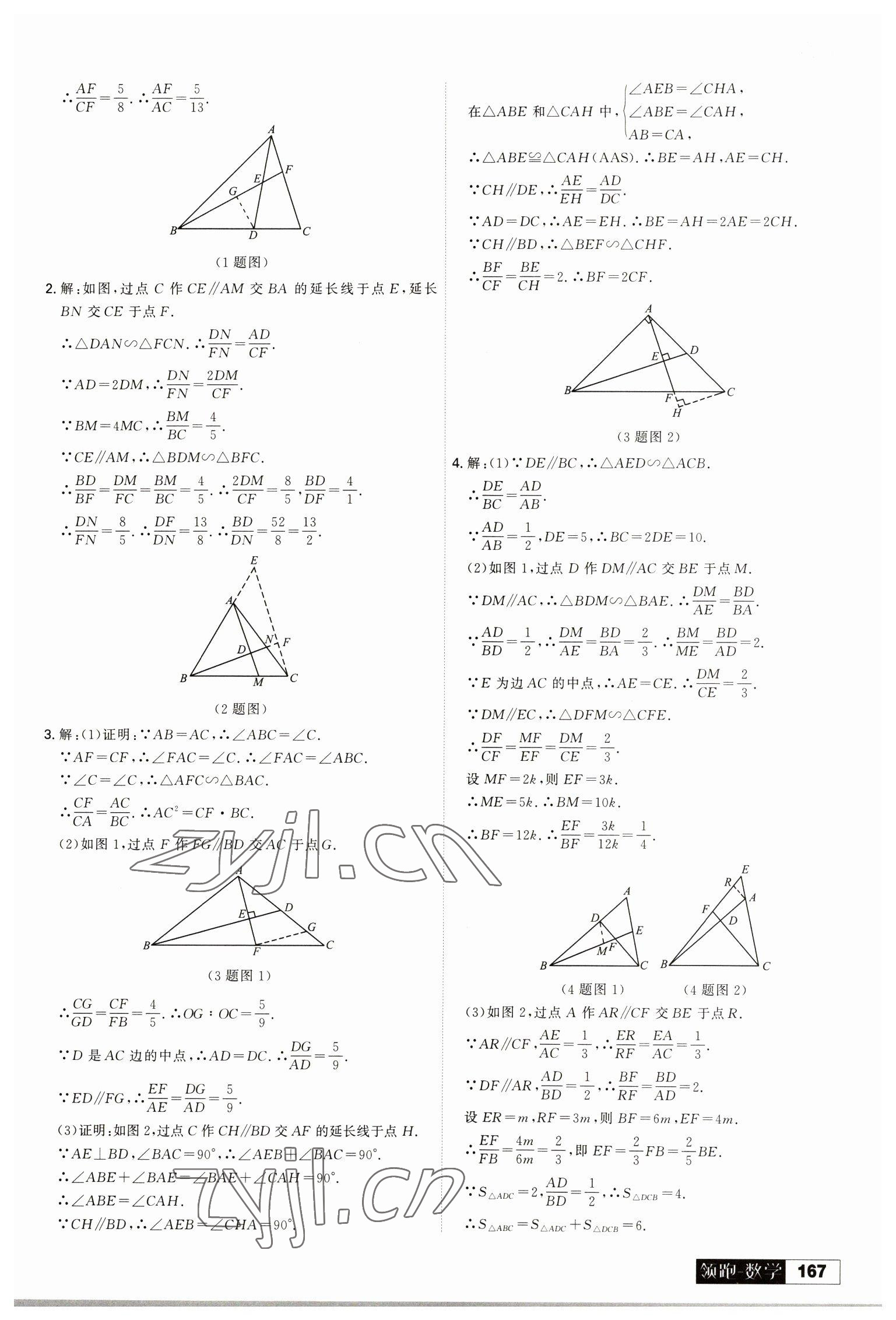 2023年學習之星二輪總復習數(shù)學大連專版&nbsp;參考答案第11頁