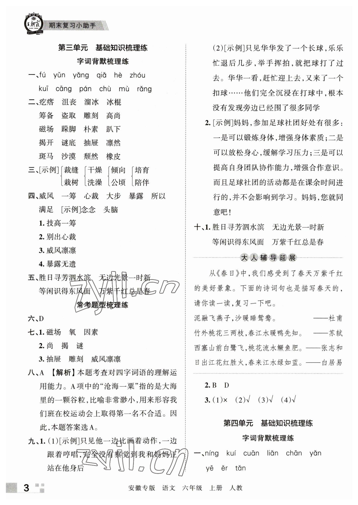 2022年王朝霞期末试卷研究六年级语文上册人教版安徽专版 参考答案第3页