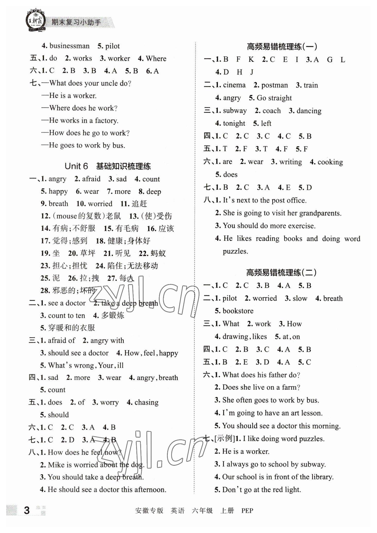 2022年王朝霞期末試卷研究六年級英語上冊人教版安徽專版 參考答案第3頁