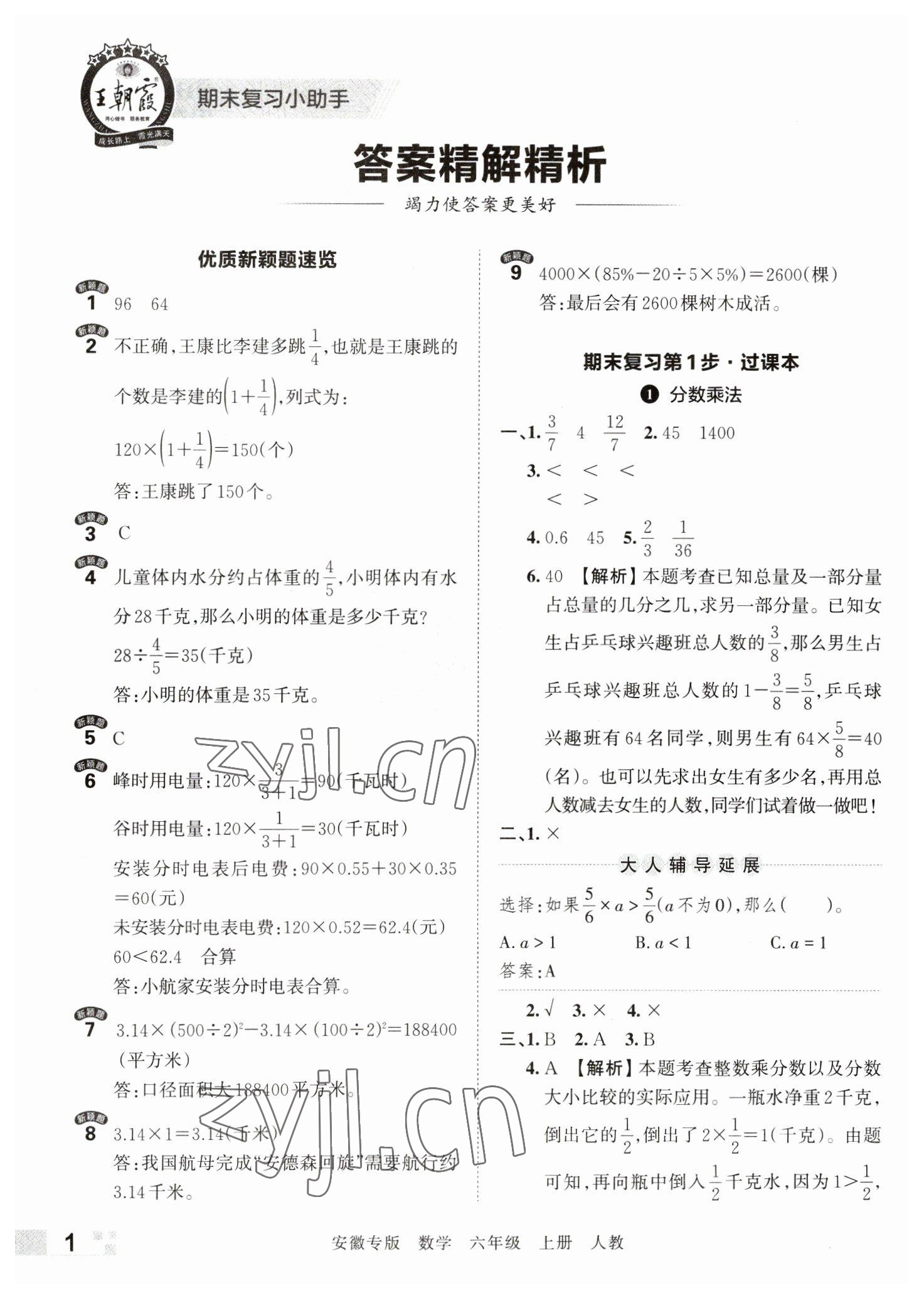 2022年王朝霞期末試卷研究六年級數(shù)學(xué)上冊人教版安徽專版 參考答案第1頁