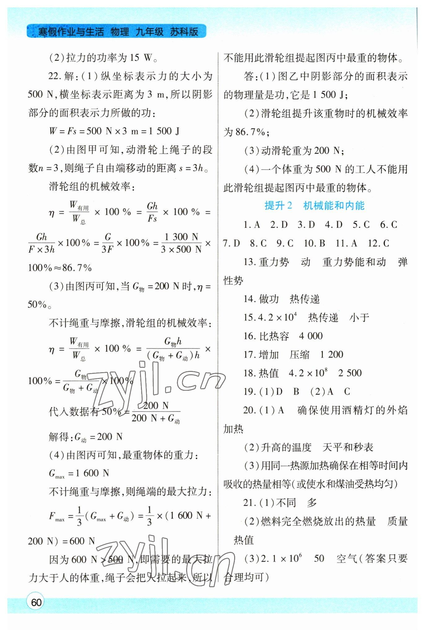 2023年寒假作业与生活陕西师范大学出版总社九年级物理苏科版 第2页