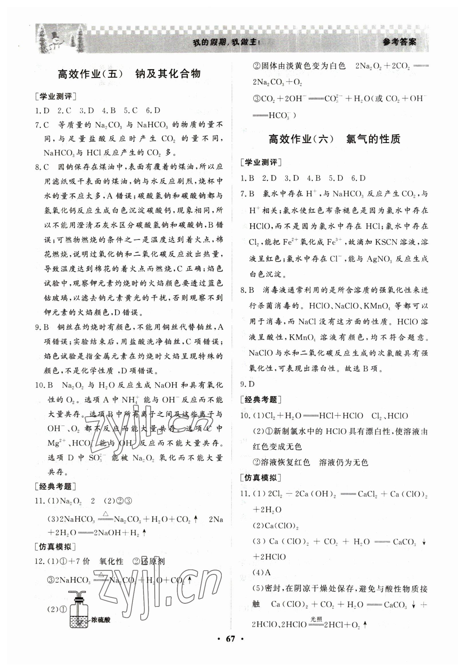 2023年優化探究高效作業高一化學 參考答案第5頁
