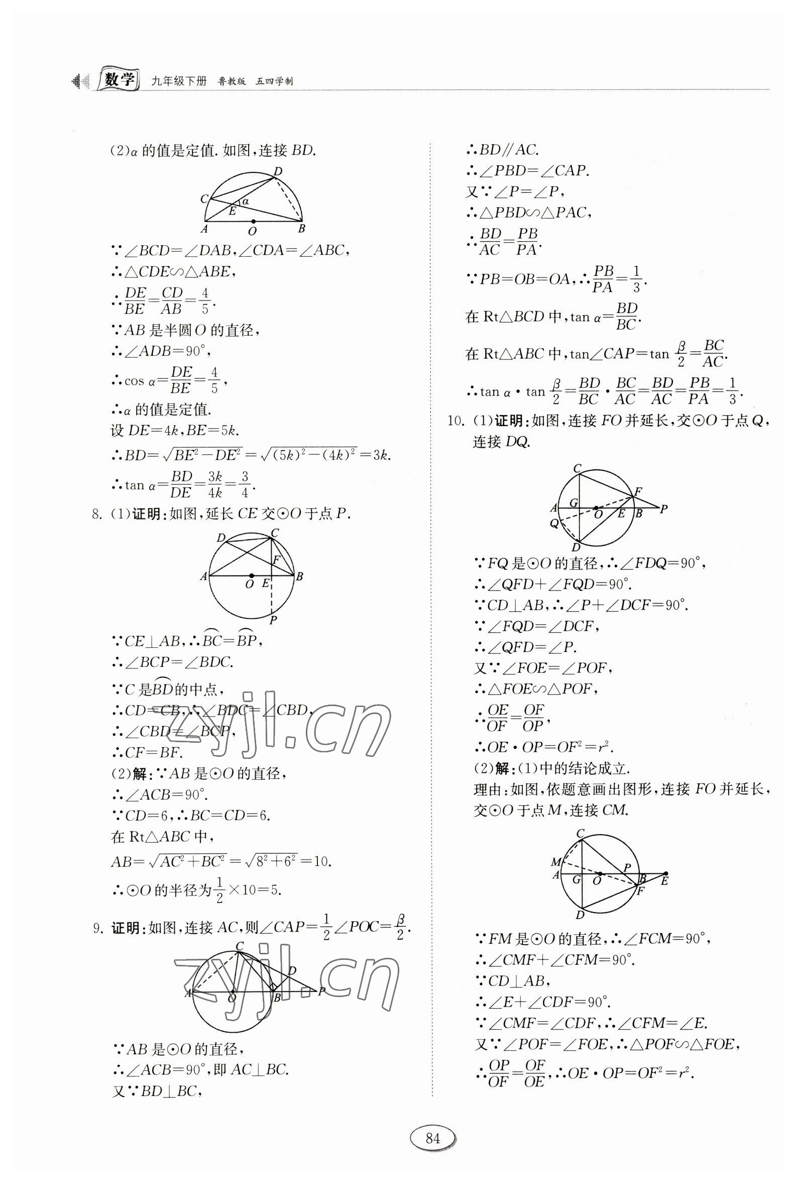 2023年初中同步練習(xí)冊九年級數(shù)學(xué)下冊魯教版54制山東科學(xué)技術(shù)出版社 第6頁