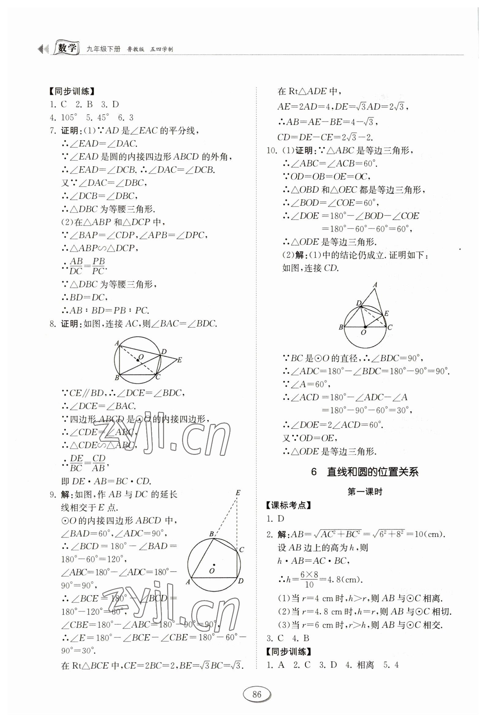 2023年初中同步練習(xí)冊(cè)九年級(jí)數(shù)學(xué)下冊(cè)魯教版54制山東科學(xué)技術(shù)出版社 第8頁(yè)