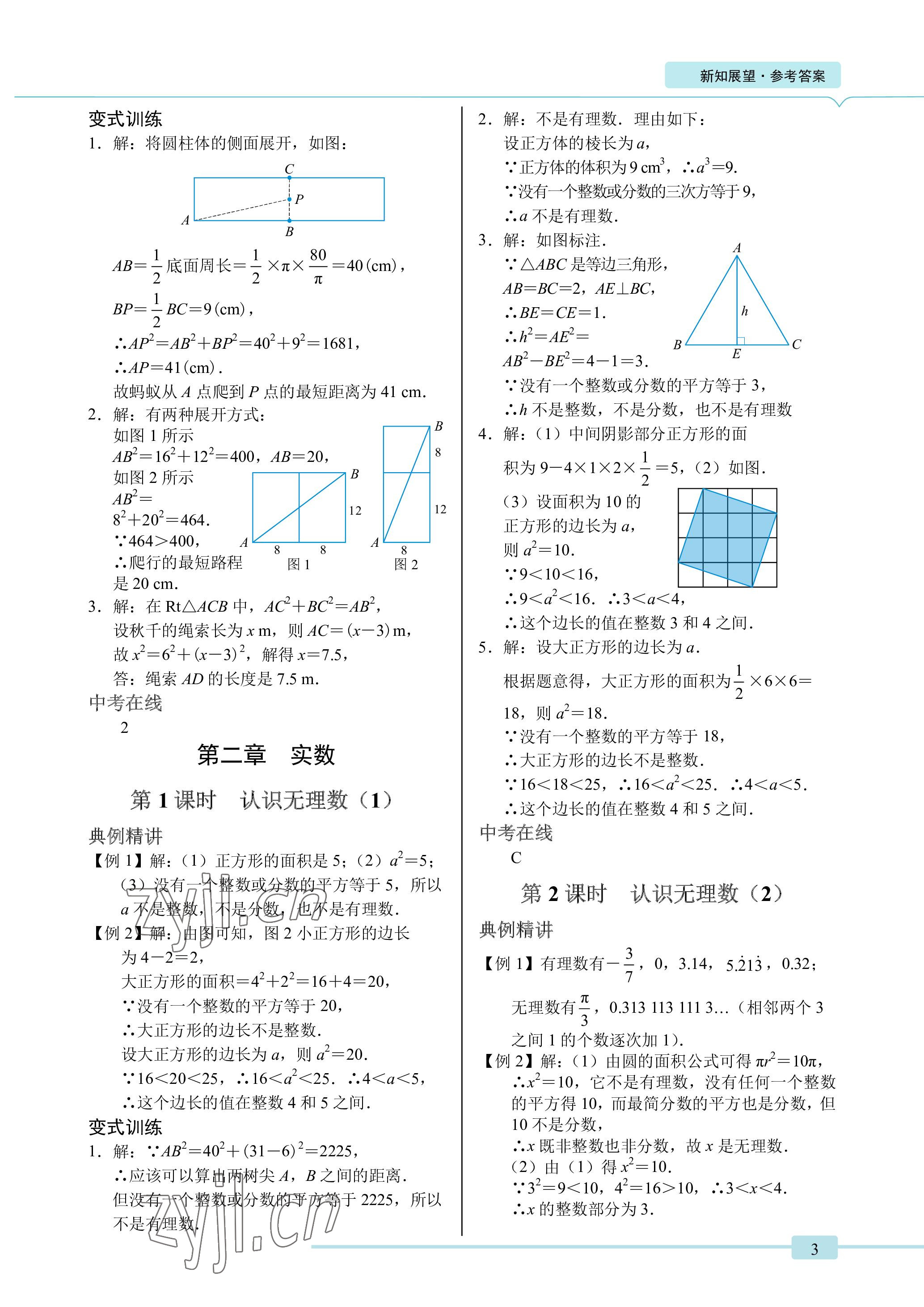 2022年A典學案沖刺100分七年級數學下冊北師大版 參考答案第3頁