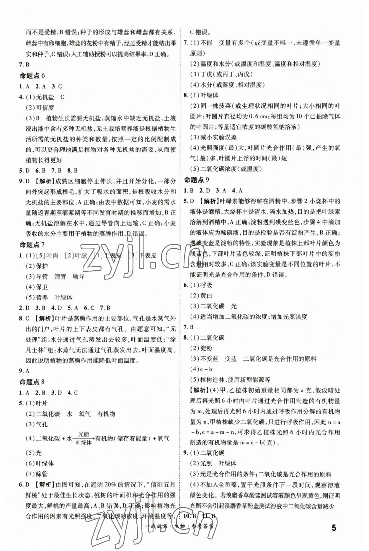 2023年一战成名考前新方案生物中考 第5页