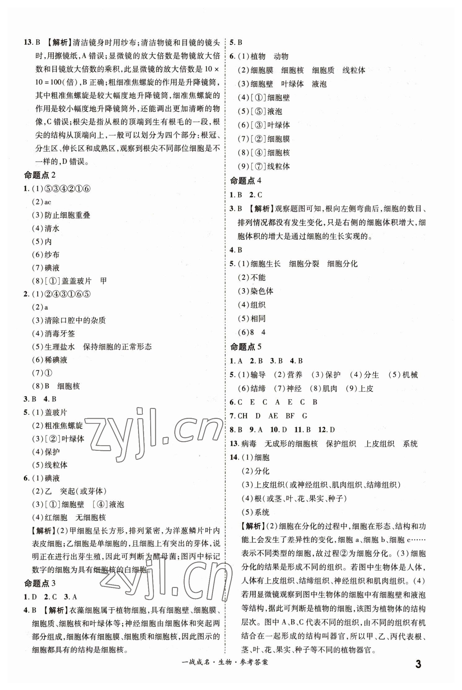 2023年一战成名考前新方案生物中考 第3页