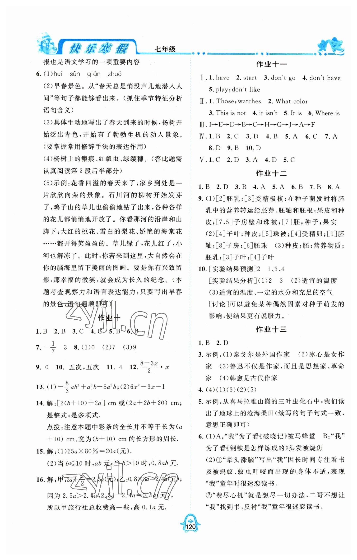 2023年快樂寒假四川大學(xué)出版社七年級(jí)合訂本 參考答案第3頁(yè)