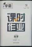 2023年經(jīng)綸學(xué)典課時作業(yè)九年級化學(xué)下冊滬教版