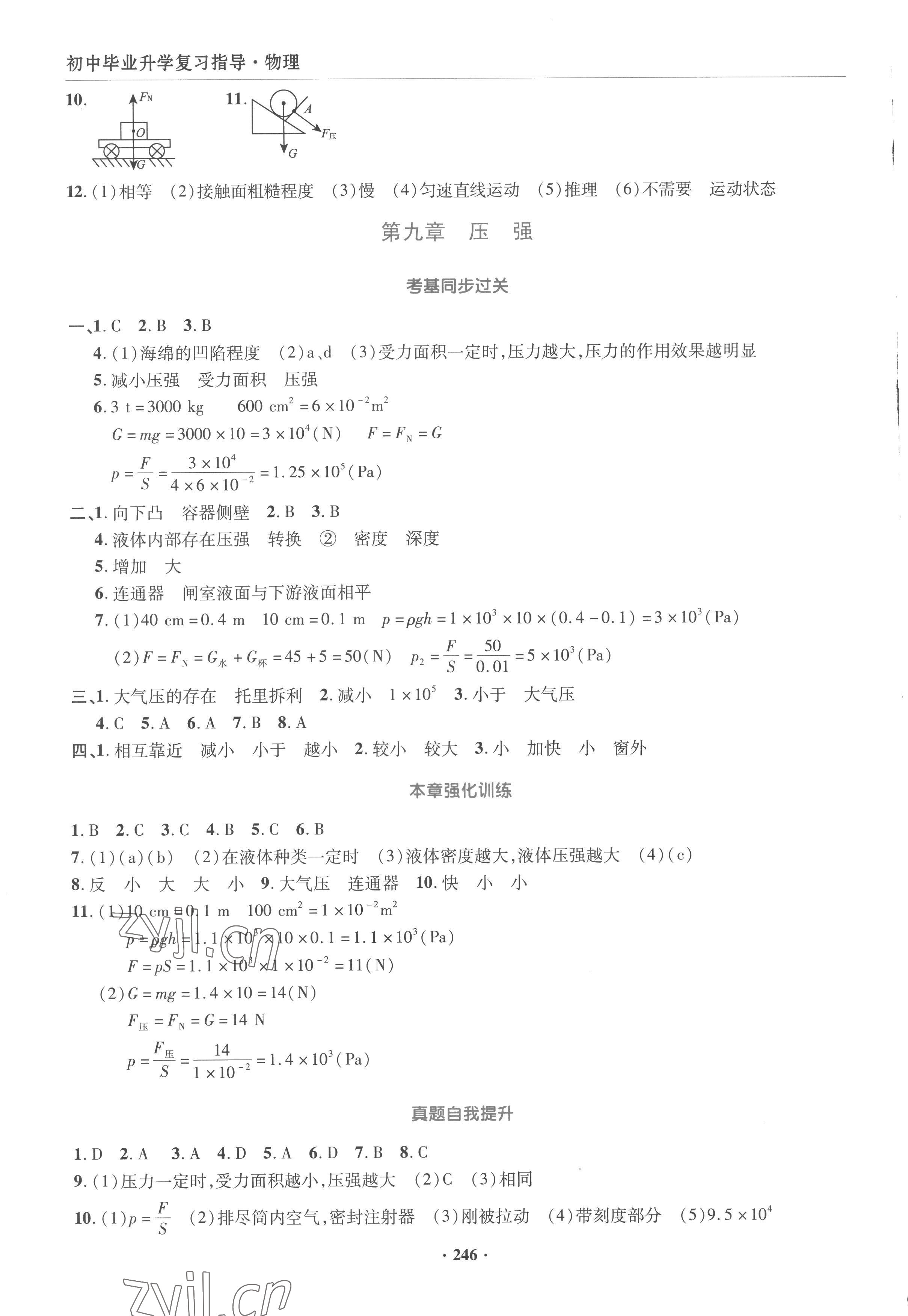 2023年初中畢業(yè)升學(xué)復(fù)習(xí)指導(dǎo)物理 第8頁(yè)