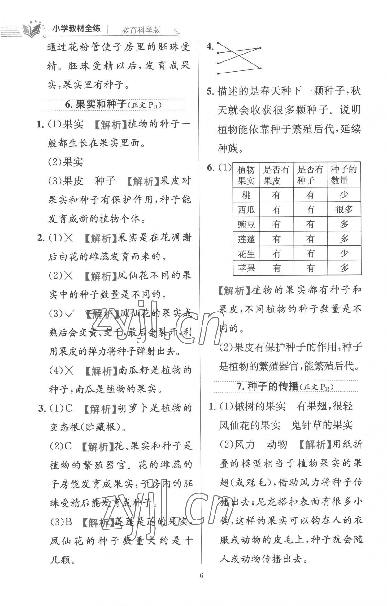 2023年教材全练四年级科学下册教科版 第6页