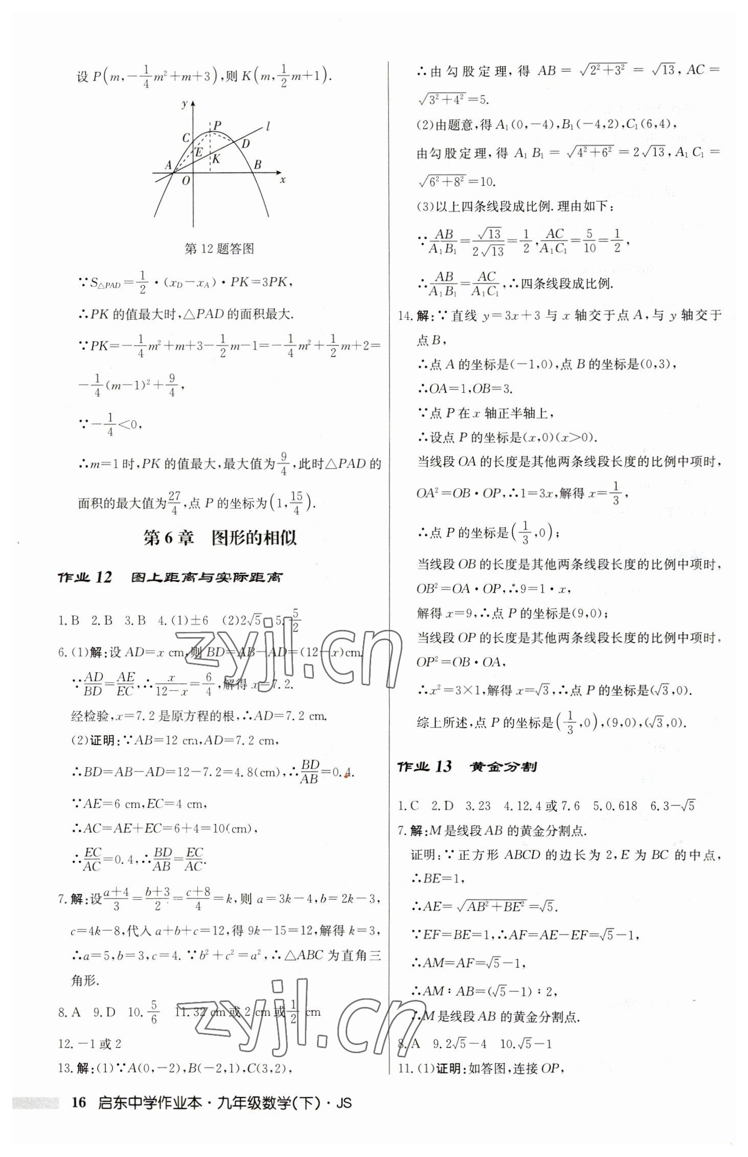 2023年启东中学作业本九年级数学下册苏科版 第16页