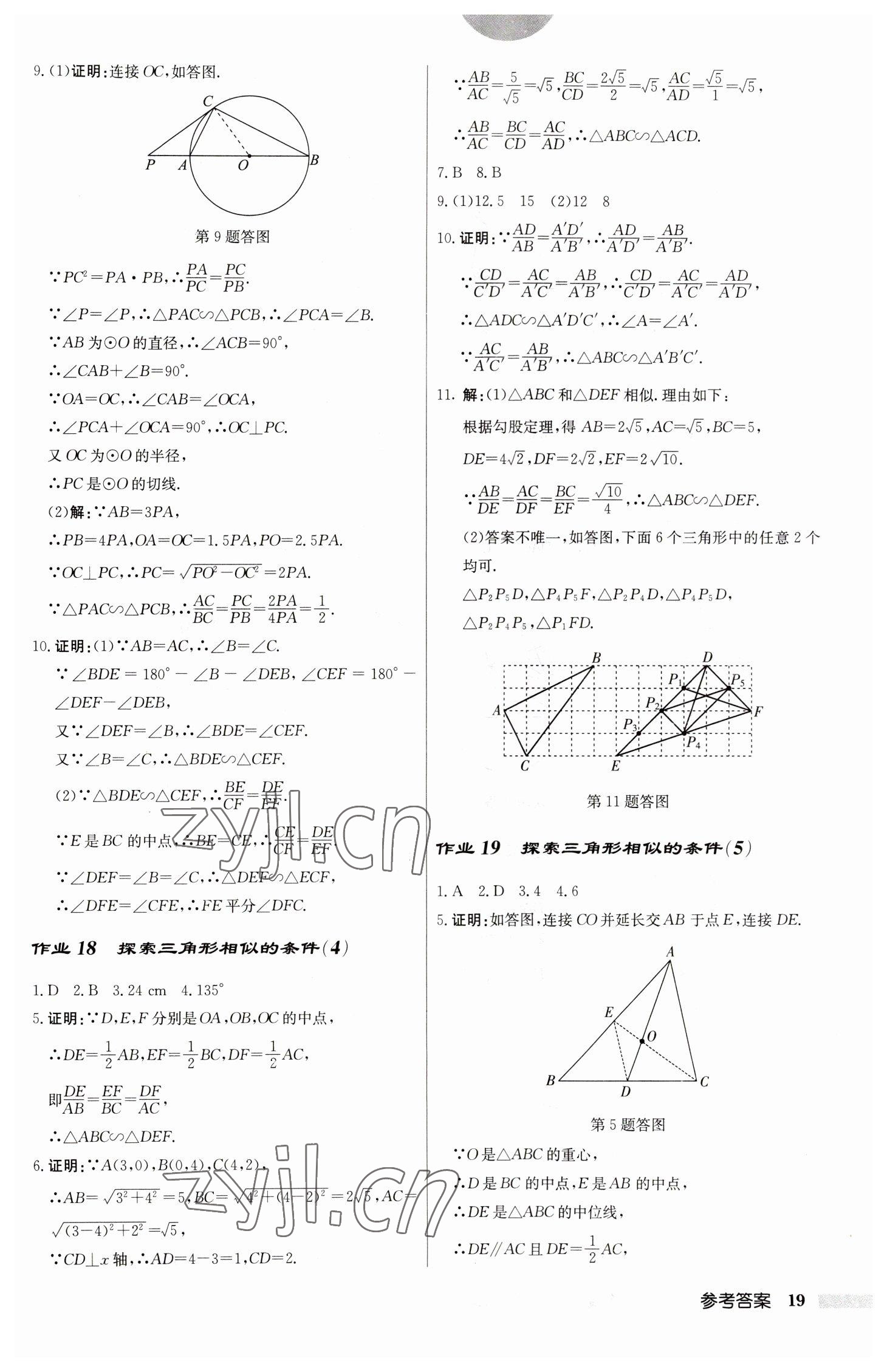 2023年啟東中學(xué)作業(yè)本九年級(jí)數(shù)學(xué)下冊(cè)蘇科版 第19頁(yè)