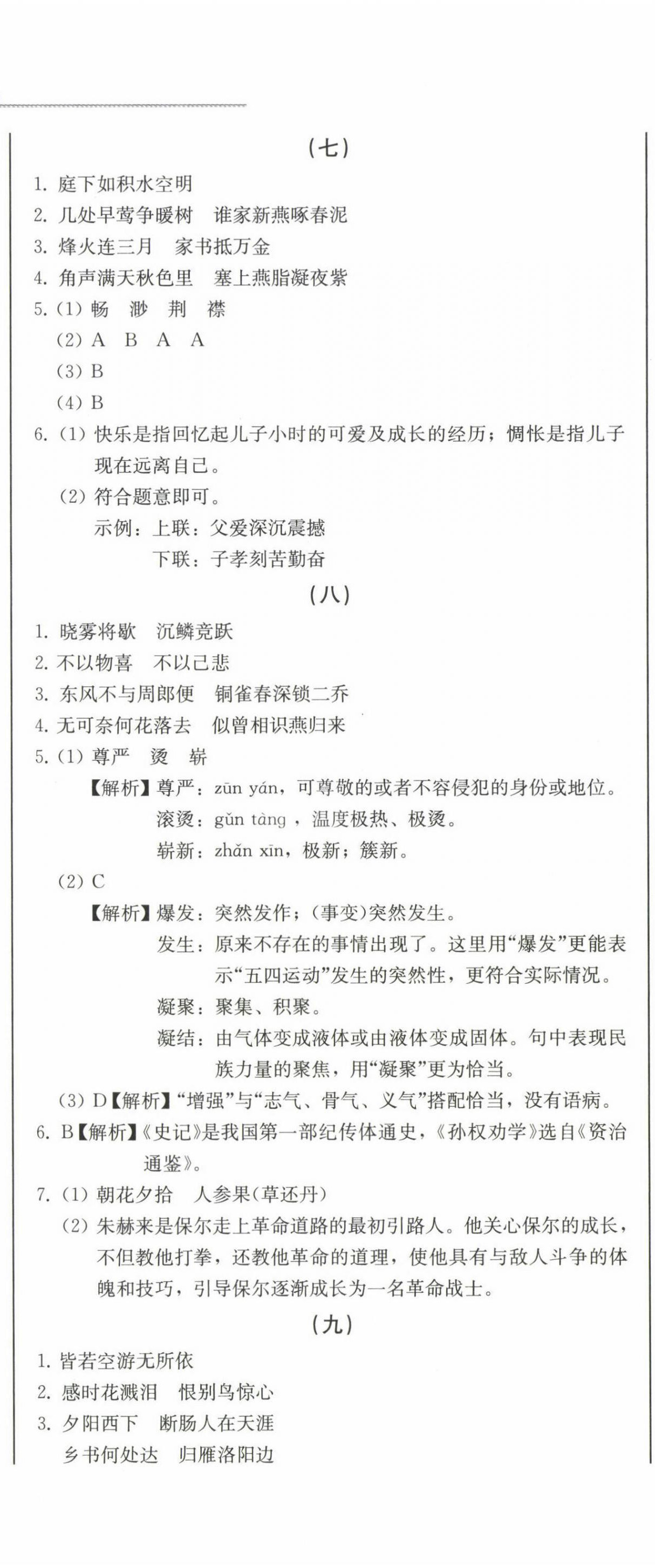 2023年中考总复习北方妇女儿童出版社语文 第5页