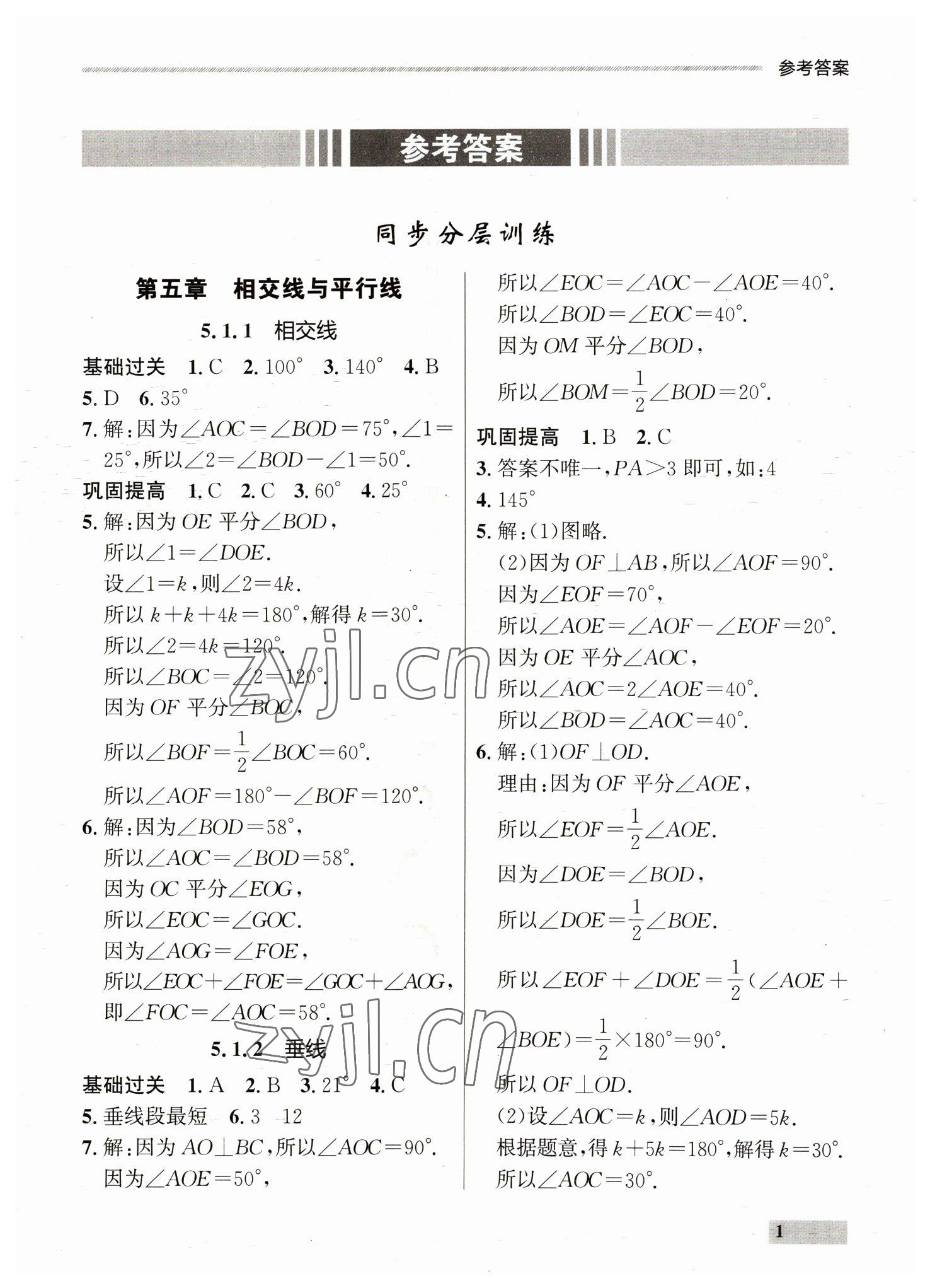 2023年點石成金金牌每課通七年級數學下冊人教版 第1頁