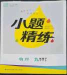 2023年通城學典小題精練九年級物理下冊蘇科版