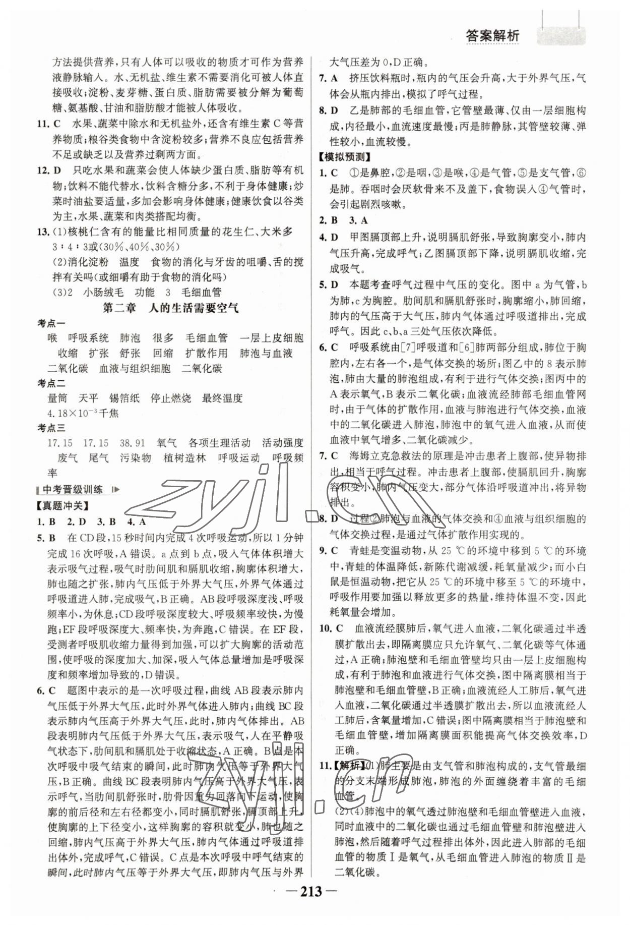 2023年初中總復(fù)習(xí)手冊(cè)生物山東畫報(bào)出版社 參考答案第8頁