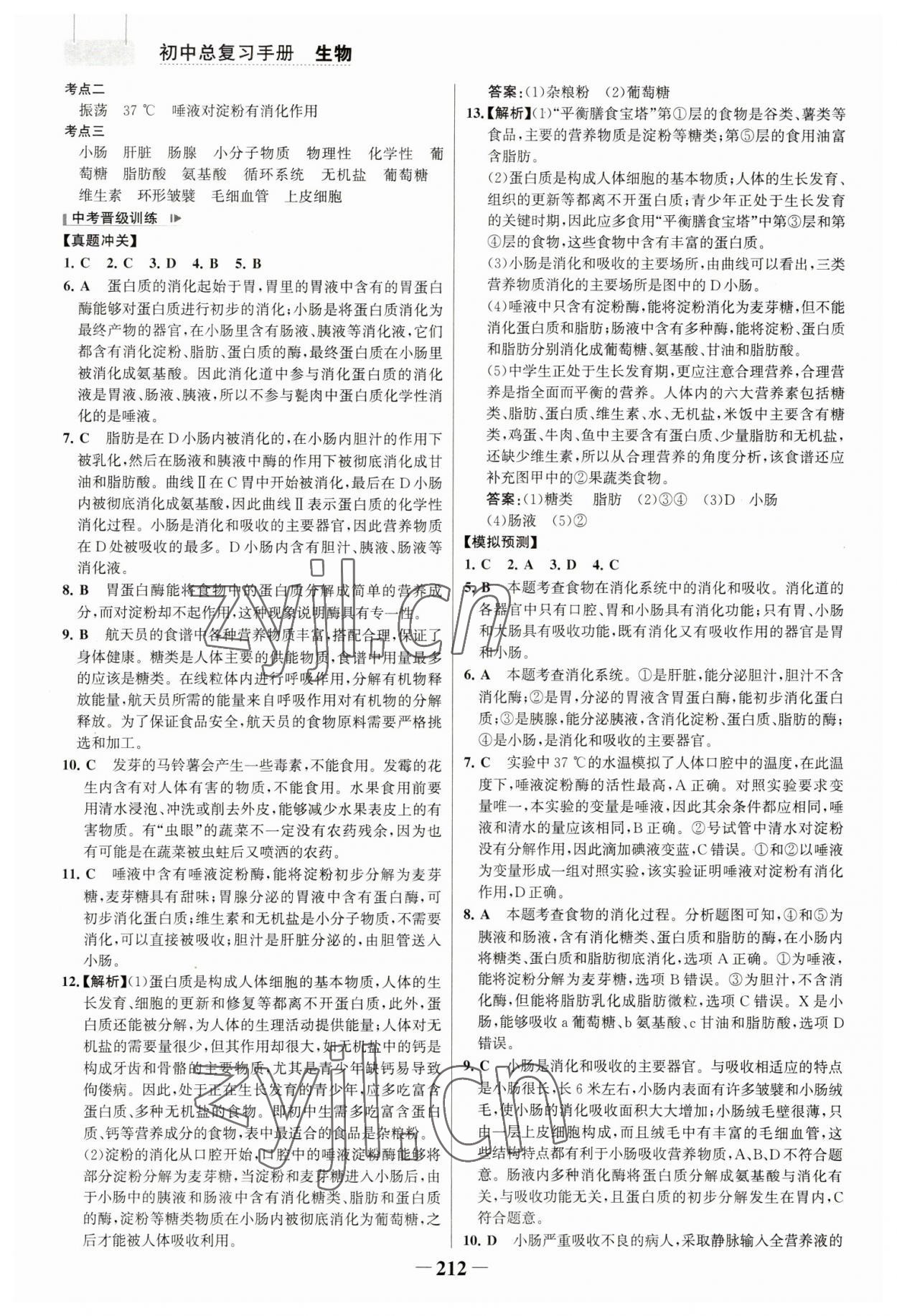 2023年初中總復習手冊生物山東畫報出版社 參考答案第7頁