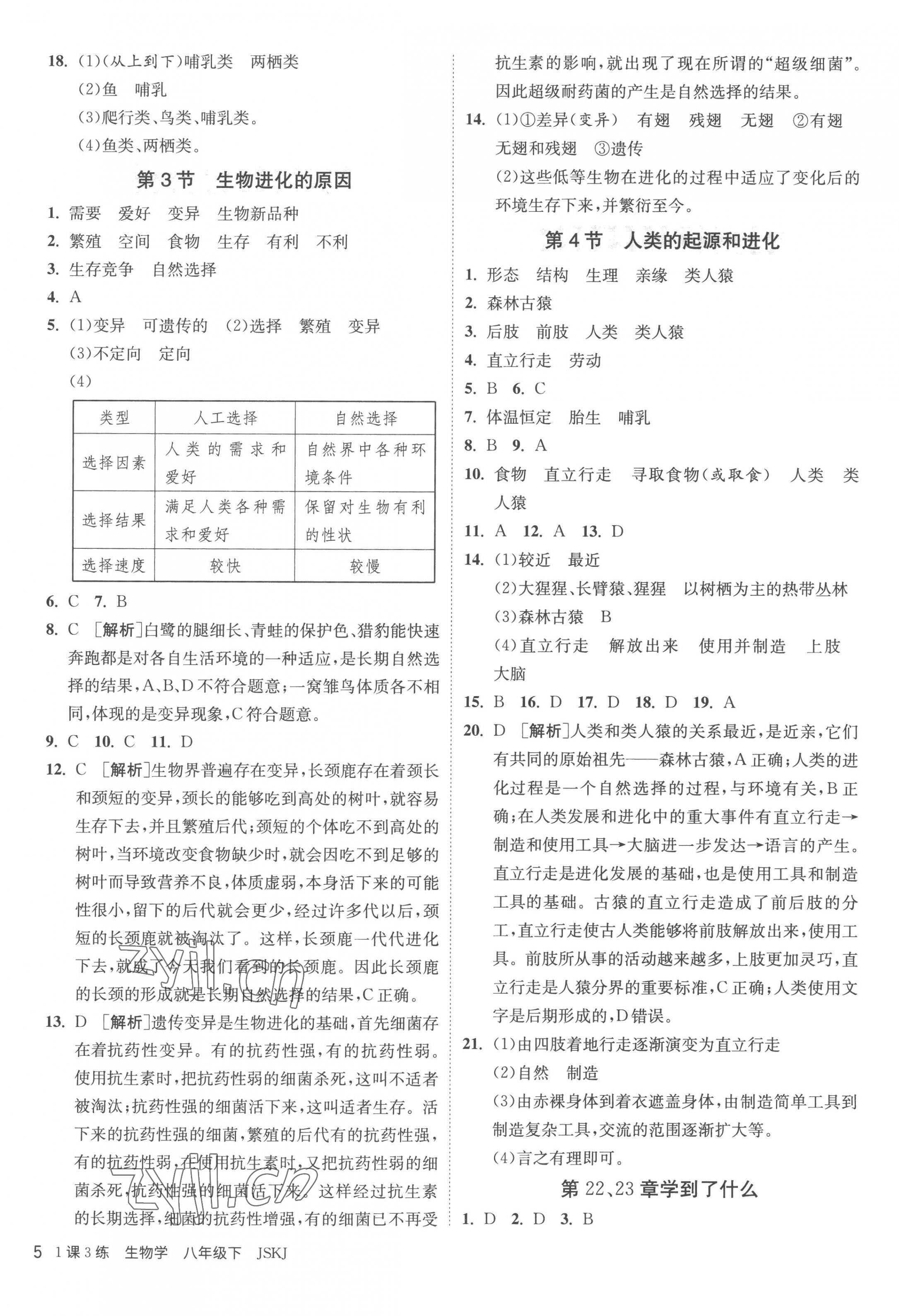 2023年1课3练单元达标测试八年级生物下册苏科版 第5页