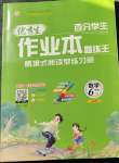 2023年優(yōu)秀生作業(yè)本六年級數(shù)學(xué)下冊人教版