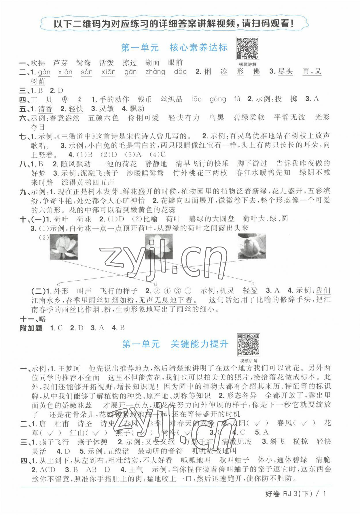 2023年陽(yáng)光同學(xué)一線名師全優(yōu)好卷三年級(jí)語(yǔ)文下冊(cè)人教版浙江專版 參考答案第1頁(yè)