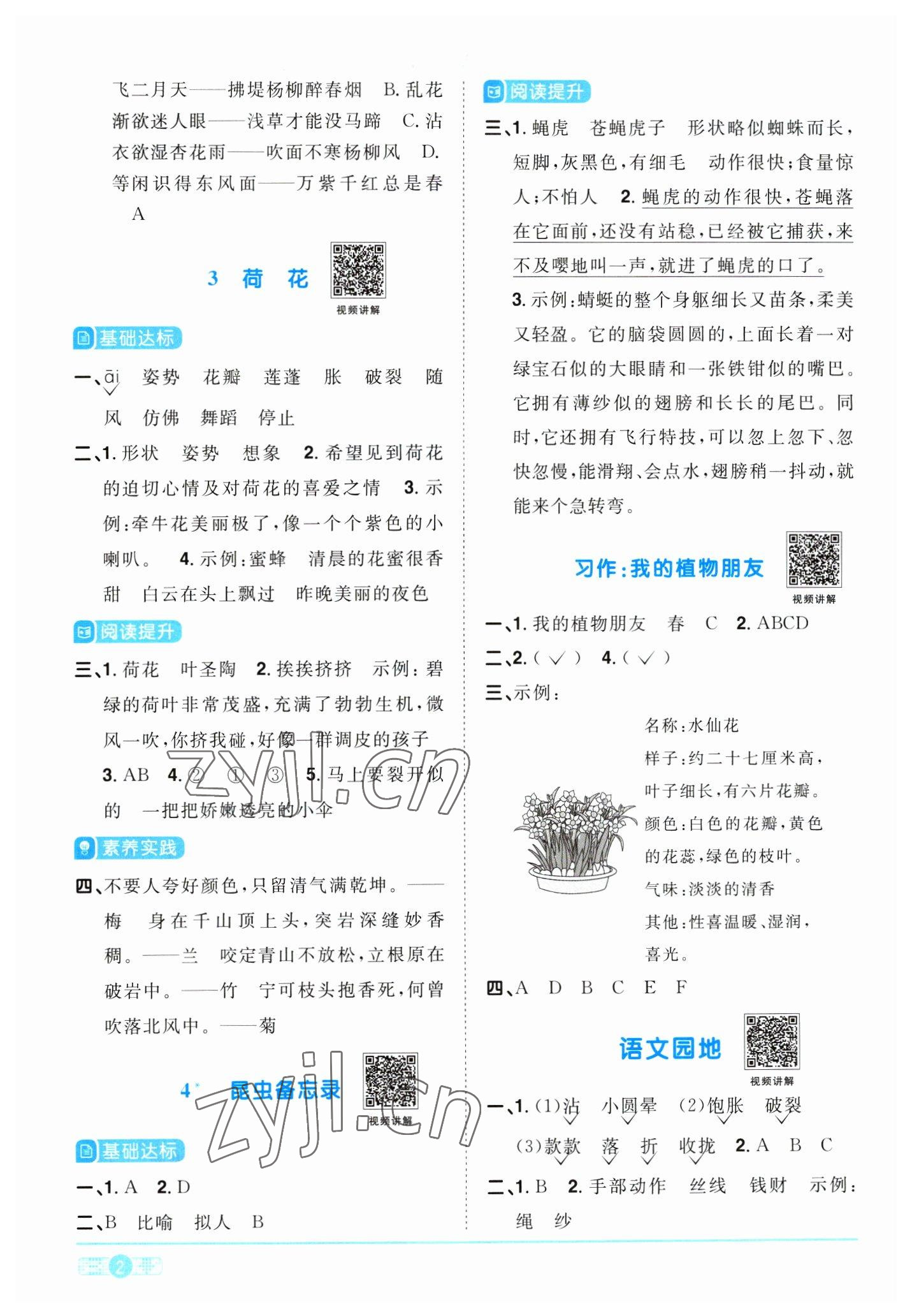 2023年阳光同学课时优化作业三年级语文下册人教版浙江专版 参考答案第2页